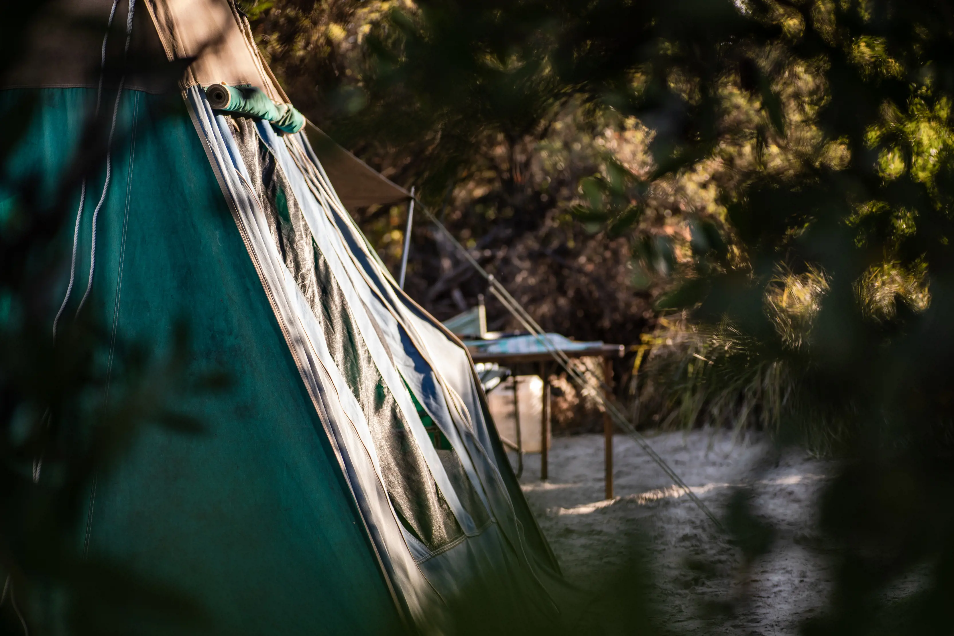 Exterior taken through the surrounding trees of a tent at Bakers Point Campground, Narawntapu National Park.