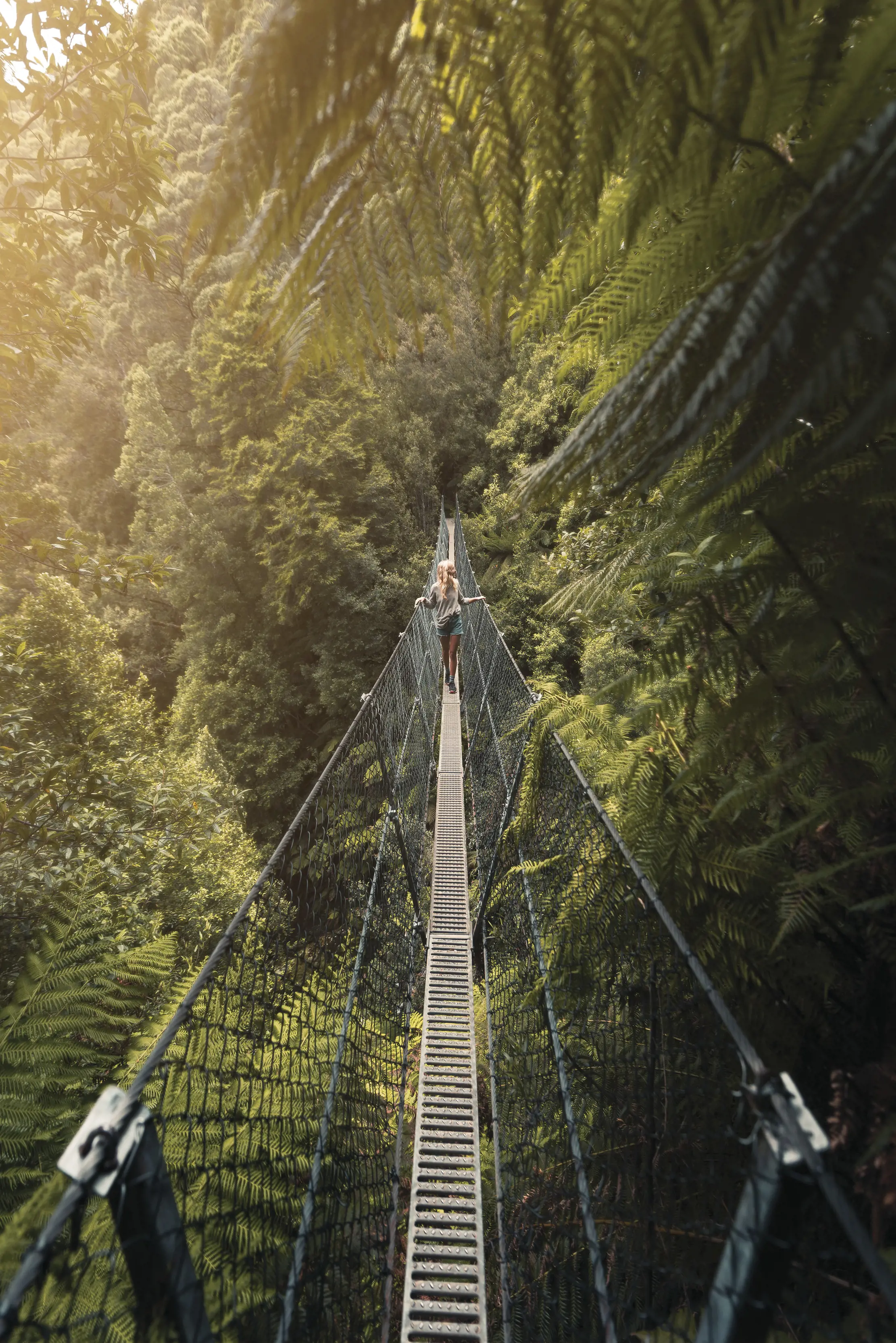 Person walking on the very narrow Montezuma Falls walking bridge. Providing a spectacular view of one of the highest waterfalls in Tasmania. Surrounded by lush forest.