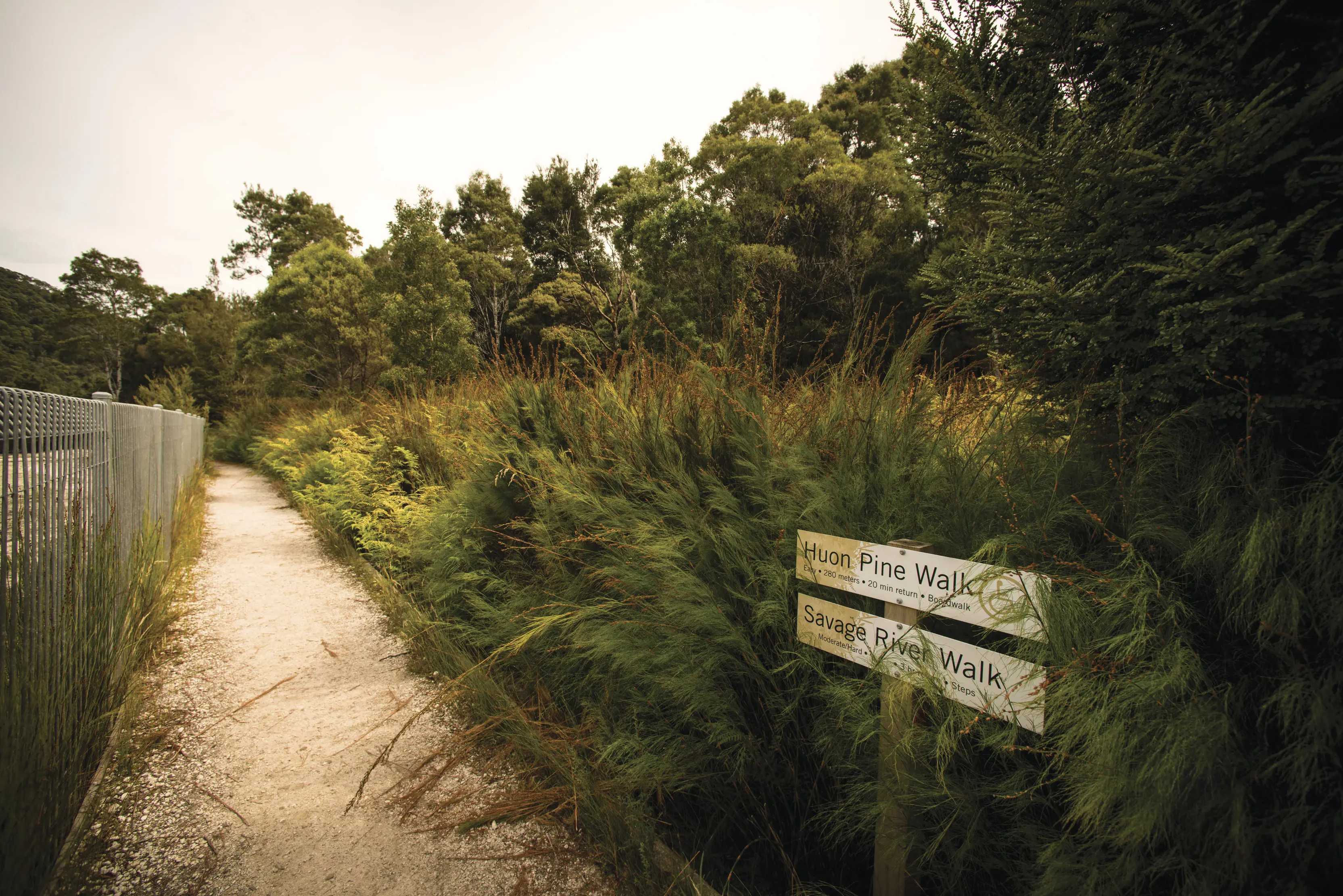 Starting point for the Huon Pine Walk and the Savage River Walk, Pieman River State Reserve.