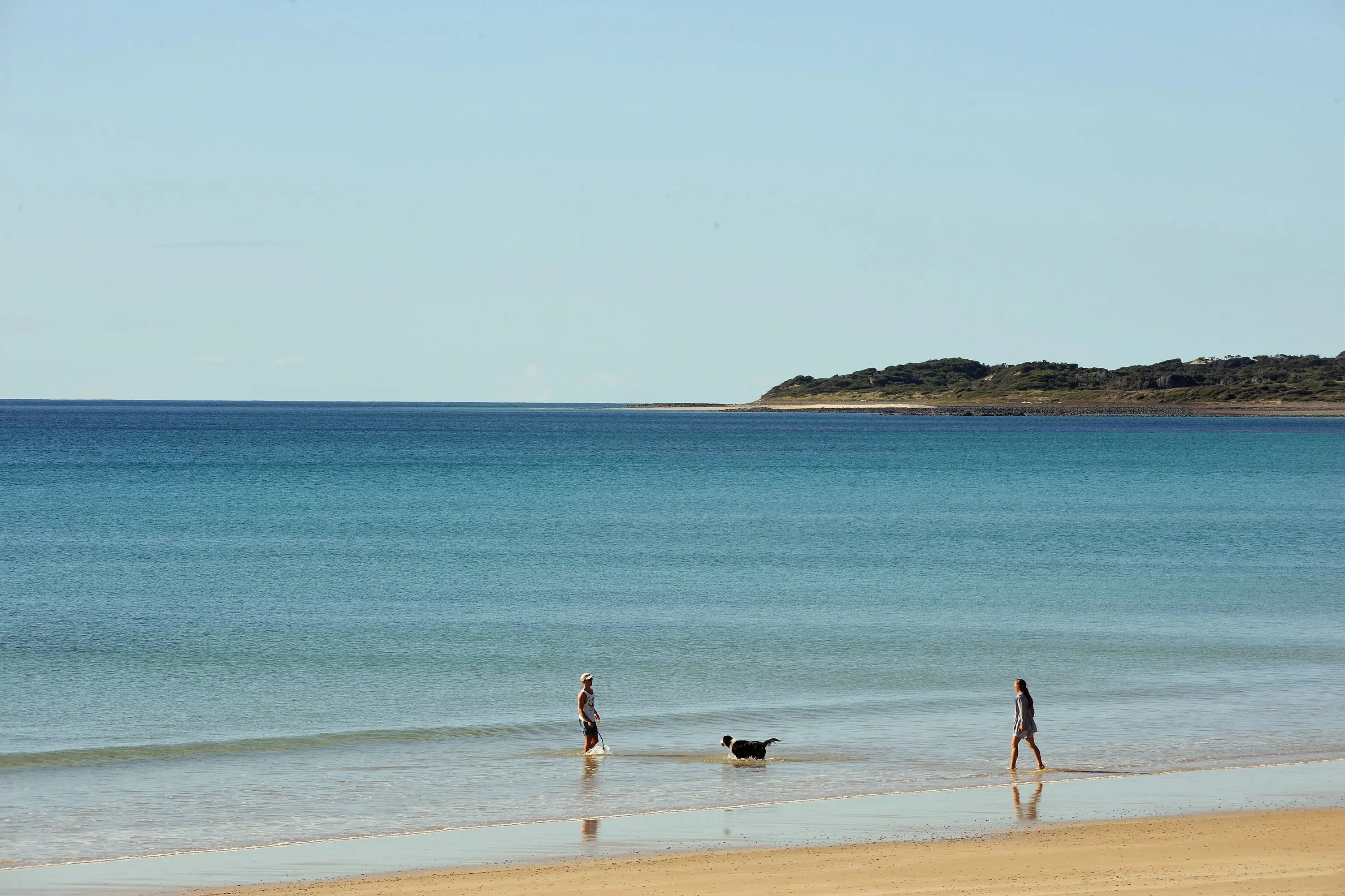 A wide view of a beach with two people and their dog play in the shallows.