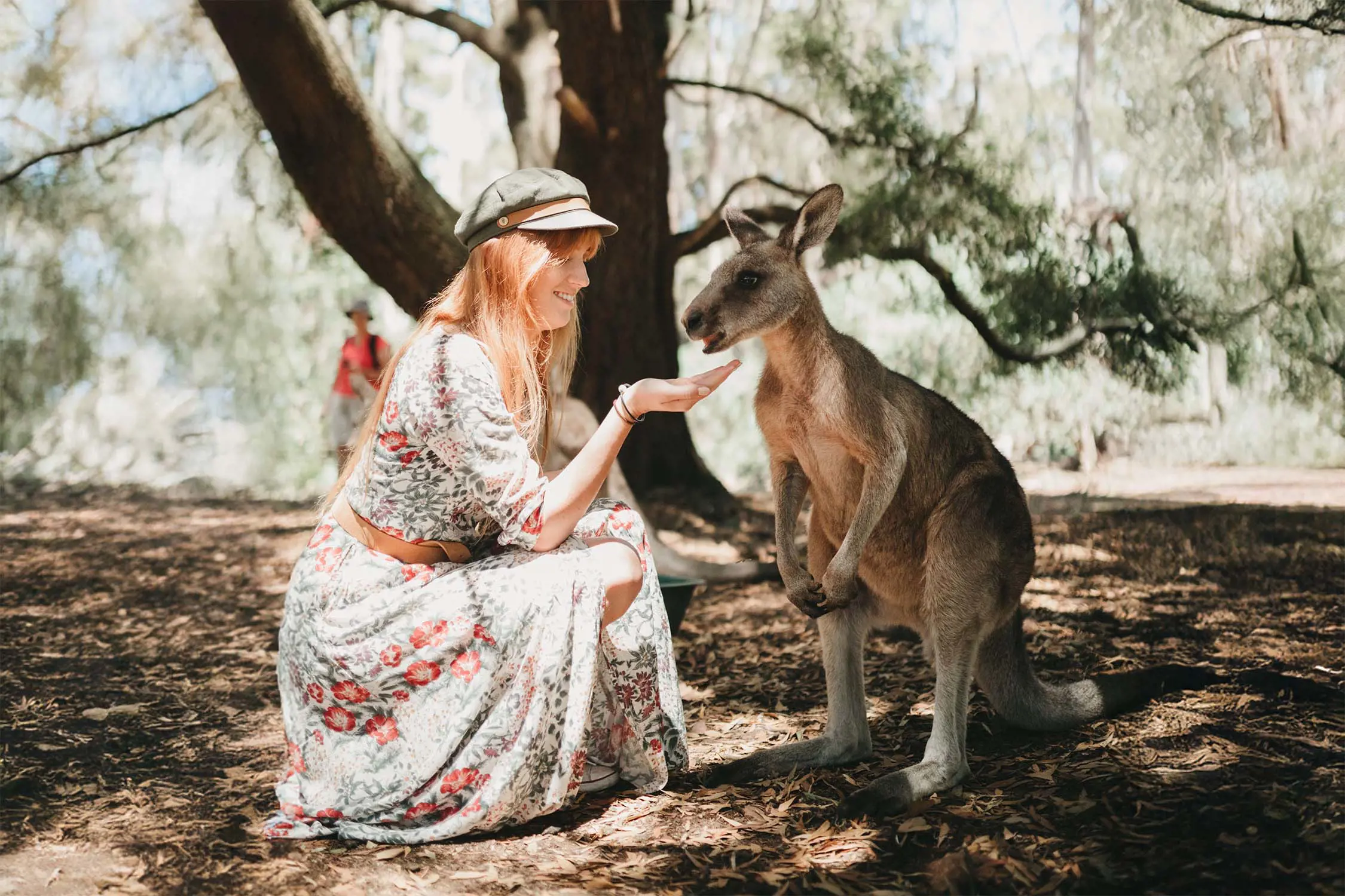 A woman crouches on the ground, to the same level as a kangaroo, and holds her hand out to feed it.
