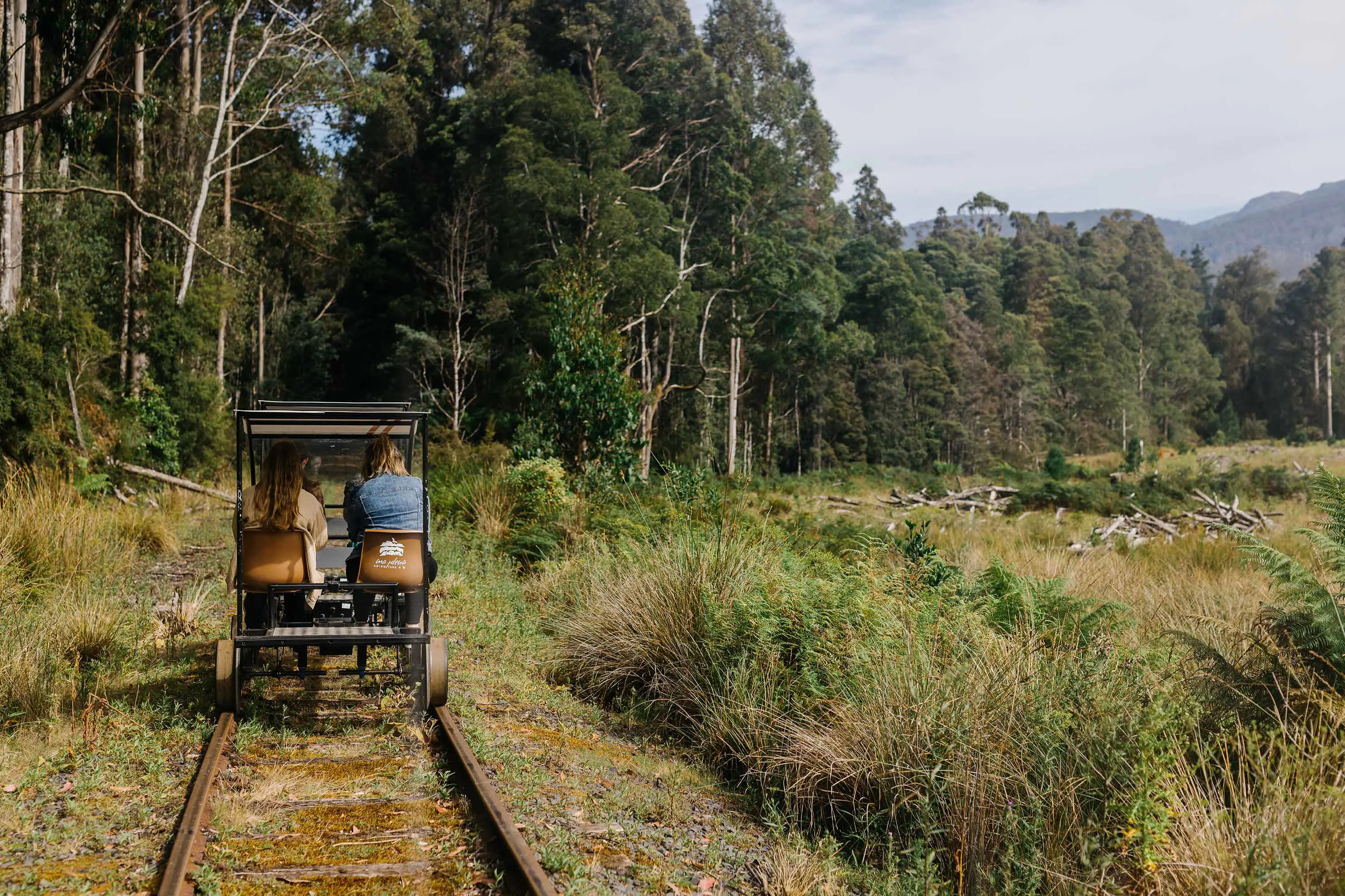 On an old railway line running through a clearing in the bush, a small metal cart is ridden by two people.