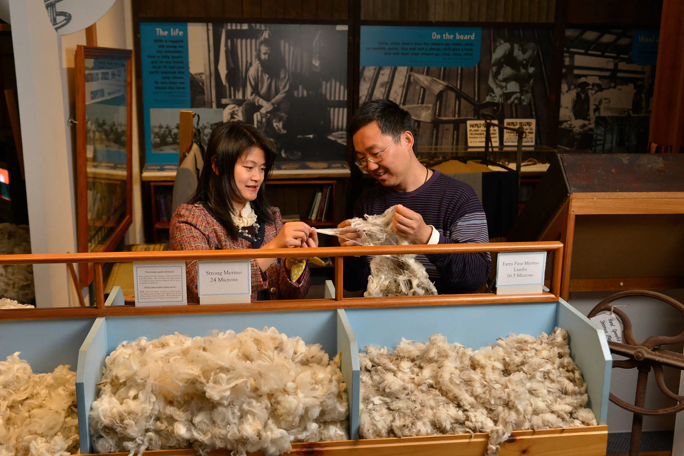 Two people stand in a wool museum, with information displayed on the walls around them. They hold pieces of wool fleece pulled from large troughs full of wool on display.