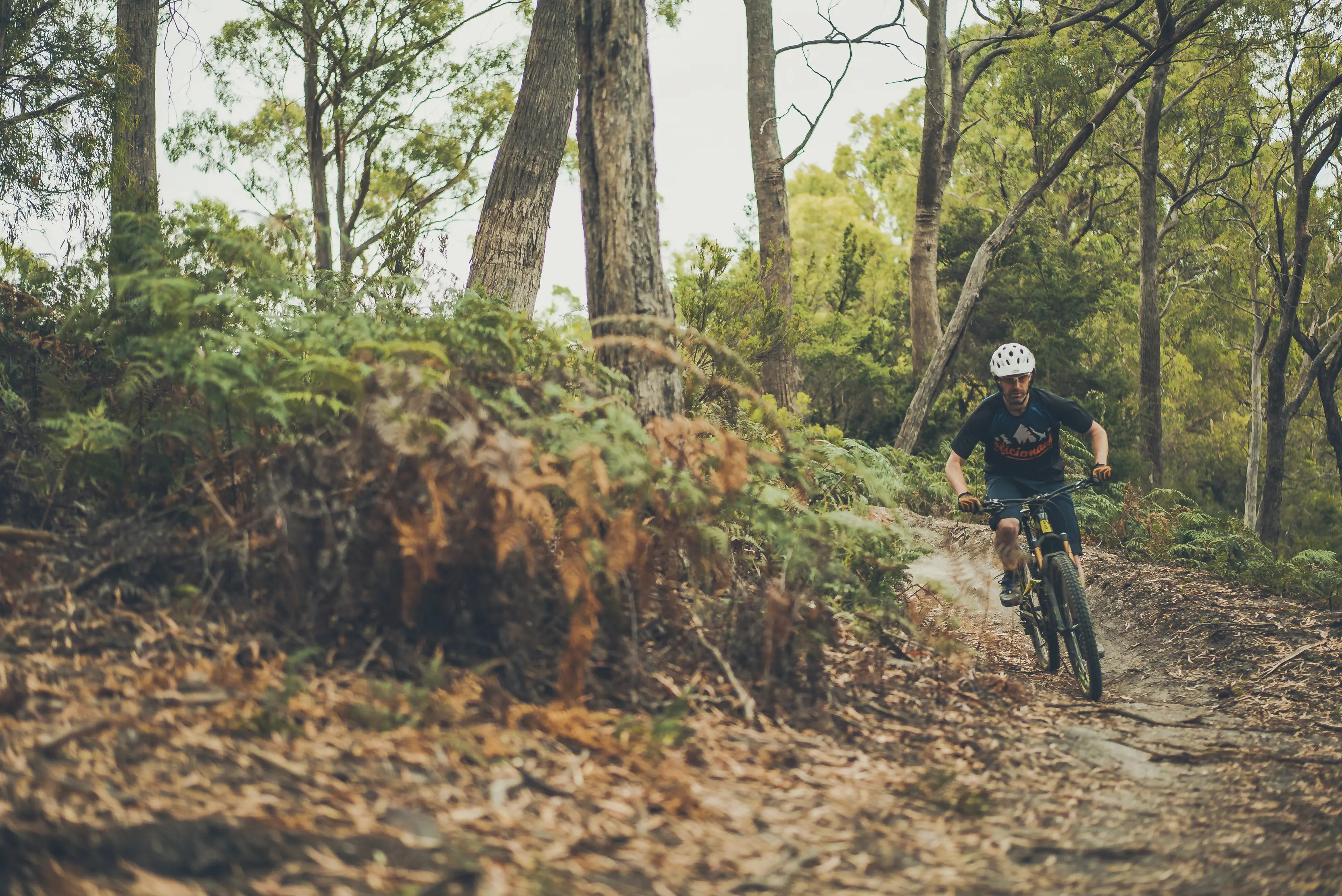 A cyclist on the track at Penguin Mountain Bike Park