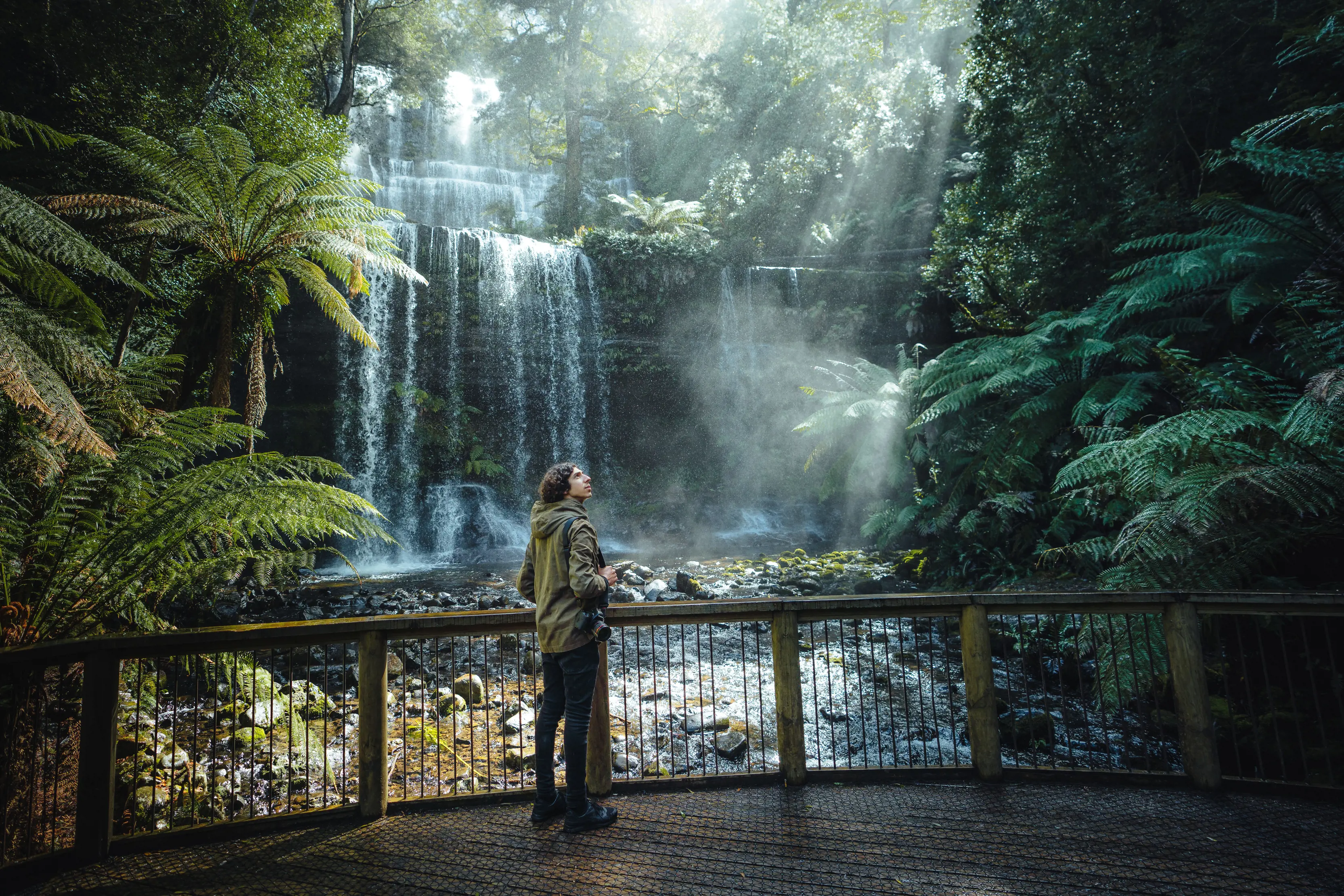 A man stands on the wooden boardwalk in front of cascading Russell Falls, looking up at the fern forests and tall trees.