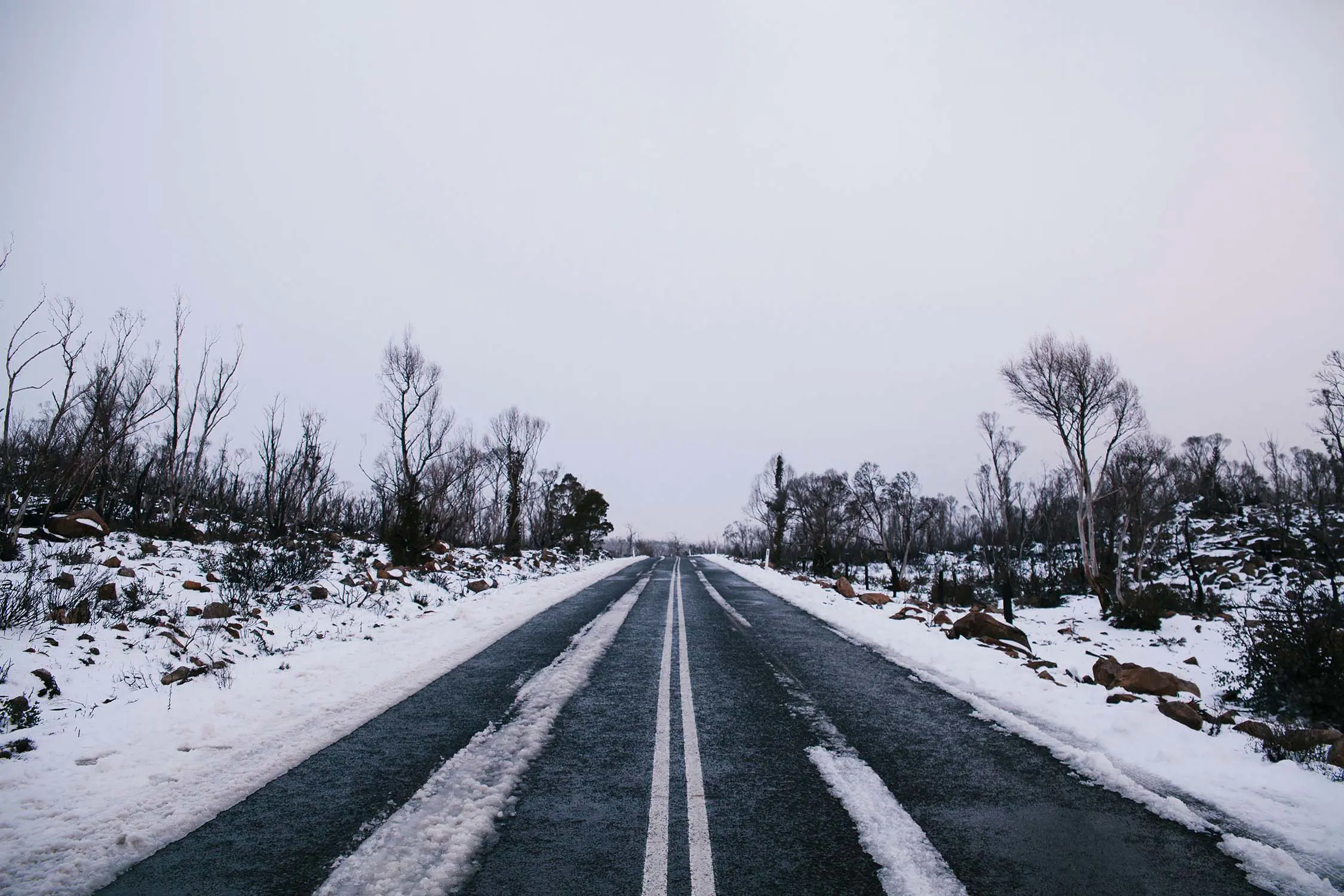 An empty snow-covered road stretches forward in a straight line, flanked by bare trees and a serene, wintry landscape.