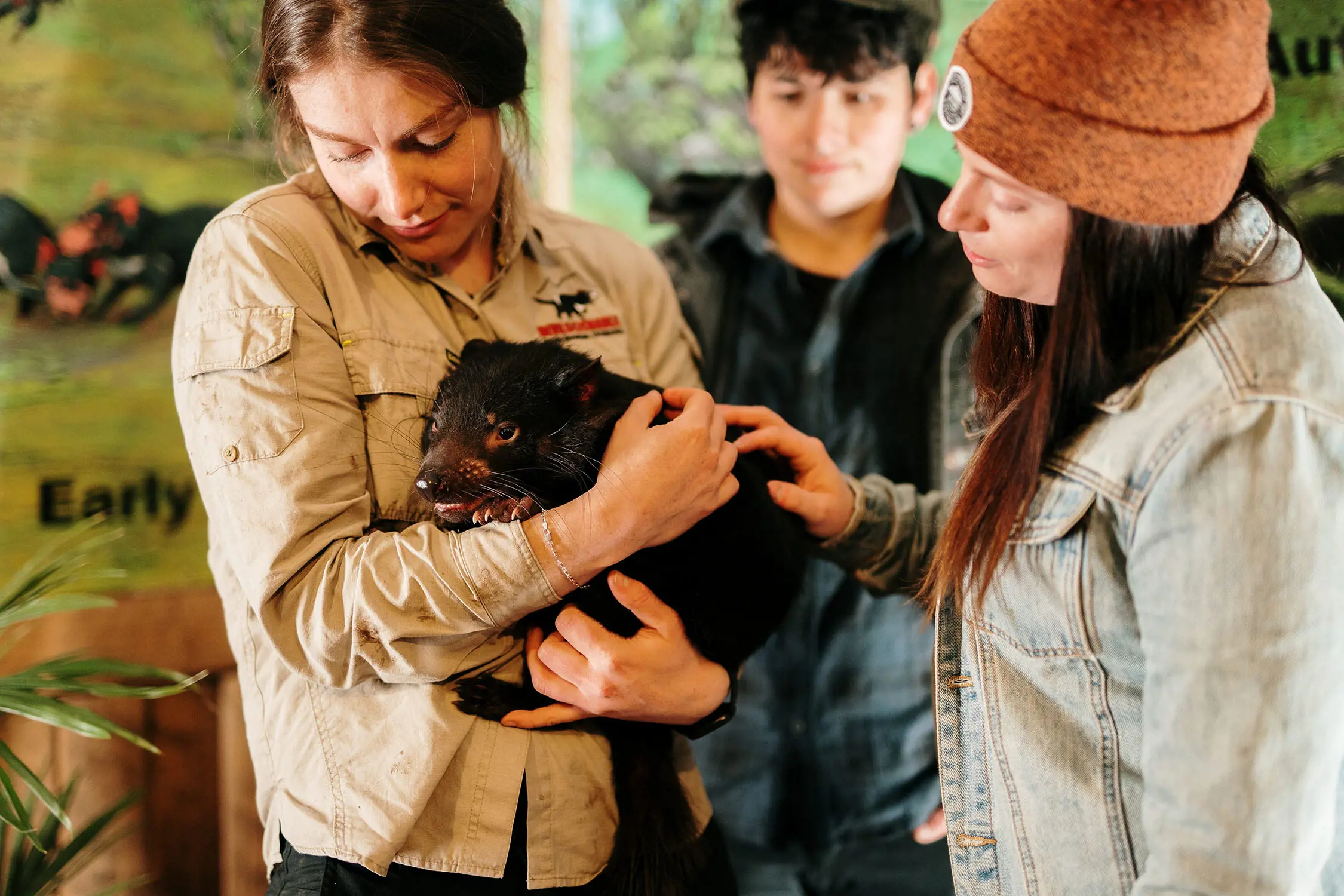 A woman in a khaki work shirt cuddles a small Tasmanian devil in her arms. Two people are watching the joey, and one reaches her hand out to pat its back.