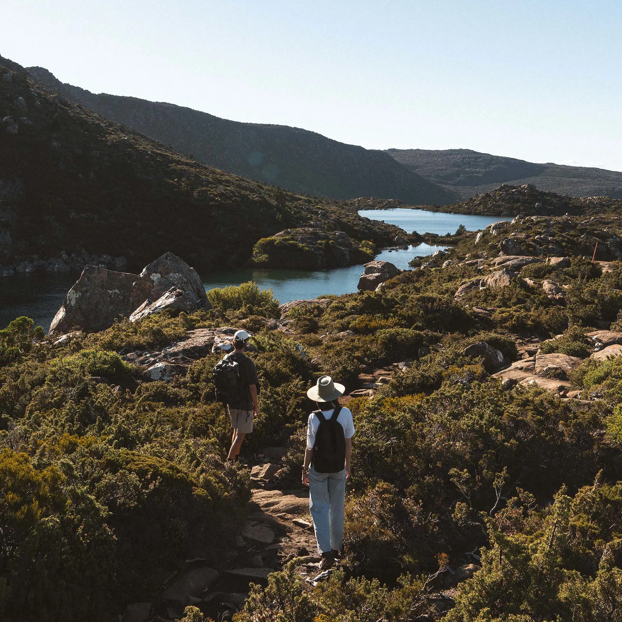 Two people in hiking gear, hats and backpacks walk along a rocky path cutting through the low-lying shrub of the alpine bush. Ahead of them, a lake snakes around the bottom of rising hills.