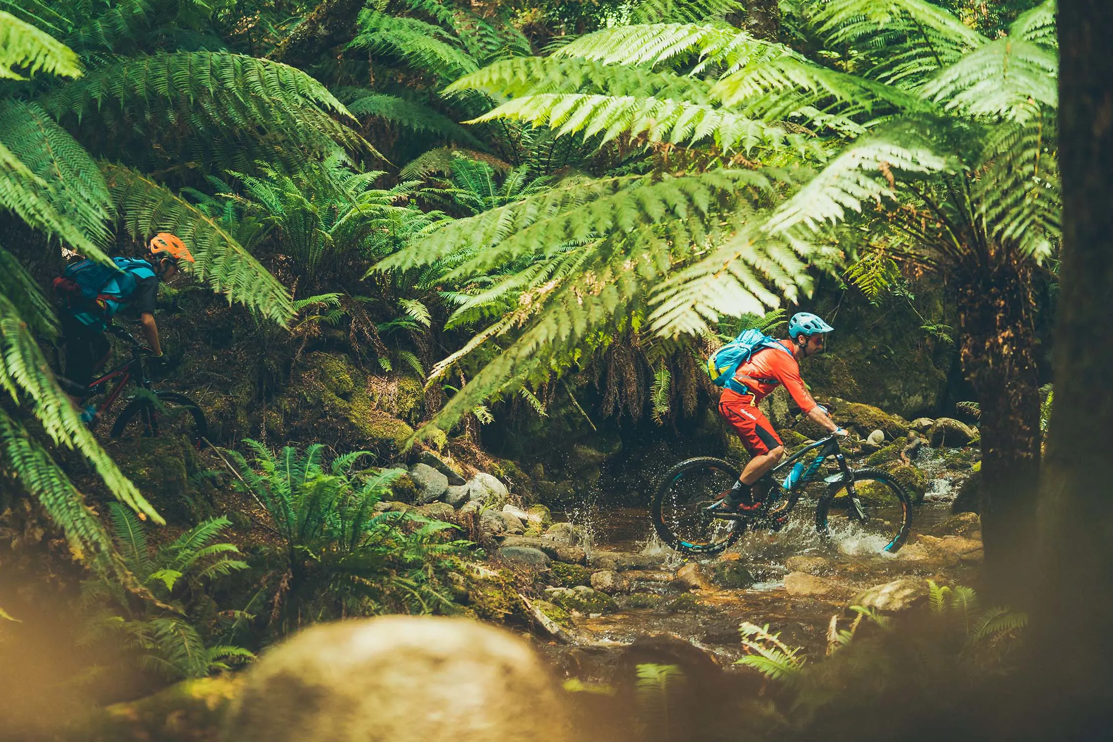 Two people on mountain bikes splash across a small stream, surrounded by rainforest.
