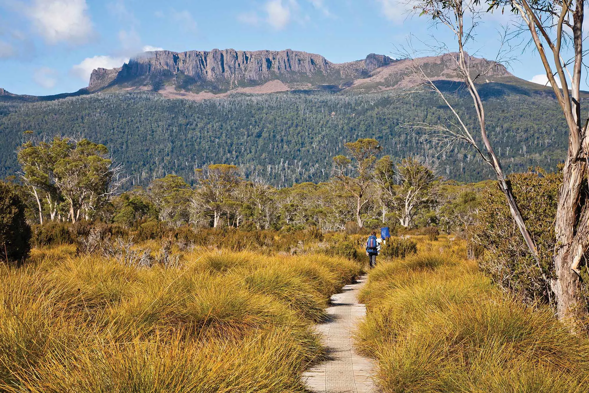 Hikers carrying backpacks walk down a boardwalk, through beautiful open bush scenery. Short grasses and trees surround them, and mountains rise up ahead.
