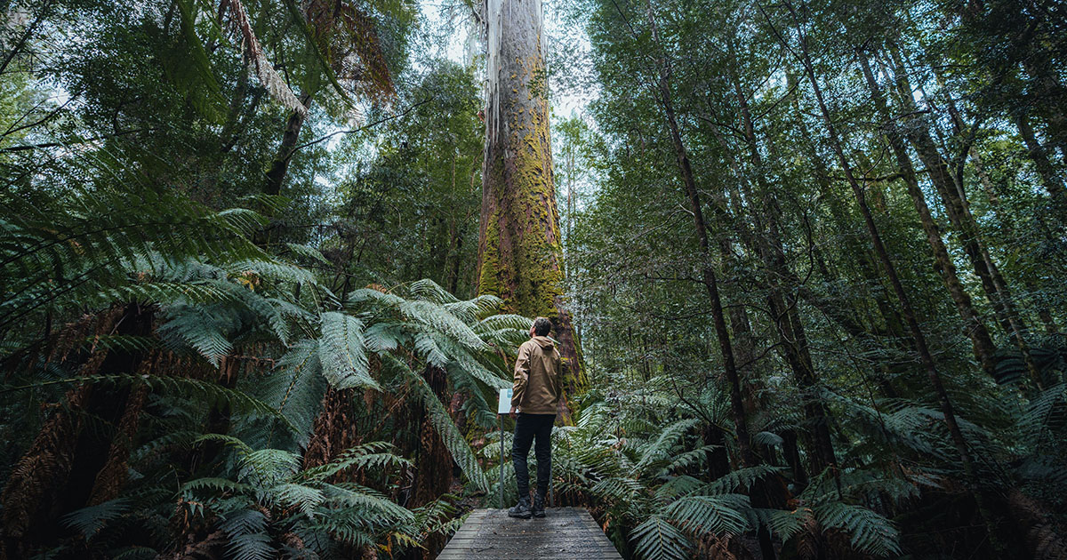 Travelling mindfully: Tasmania's nature