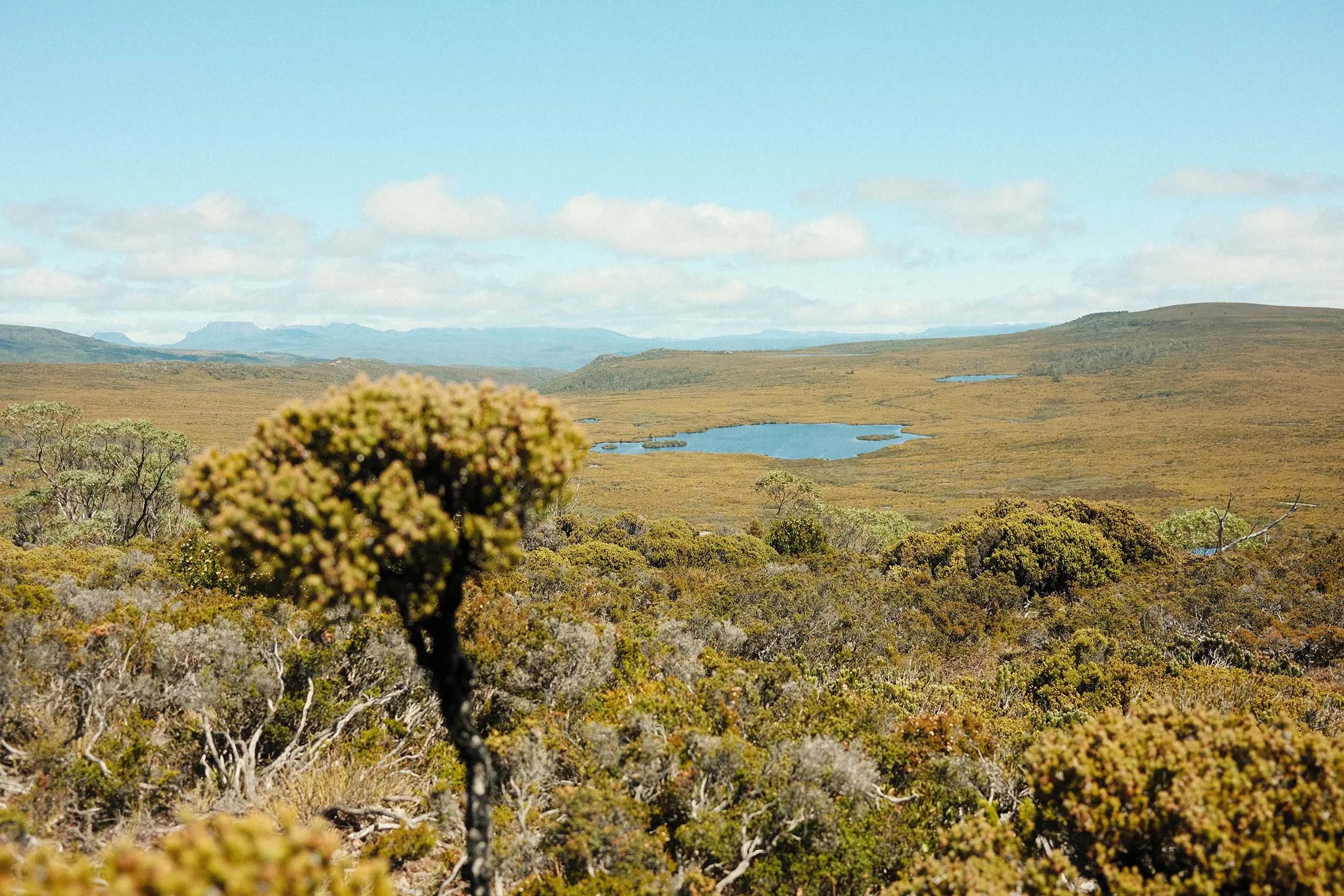 The green-grey of dense Australian scrub stretches as far as the eye can see, with a few alpine lakes dotted throughout.
