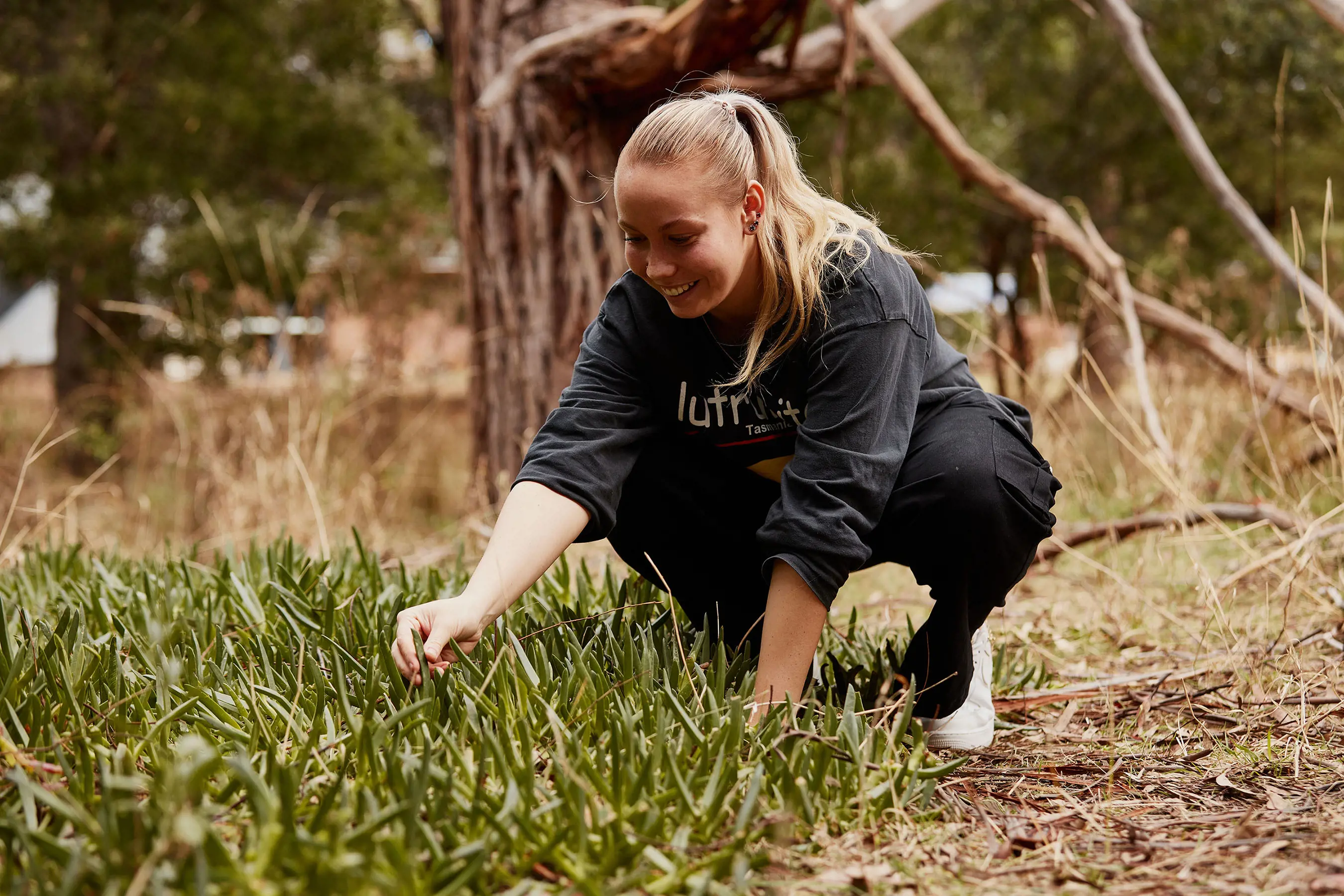 A woman kneels down and reaches to pull a plant from a cluster growing together on the ground in the bush.