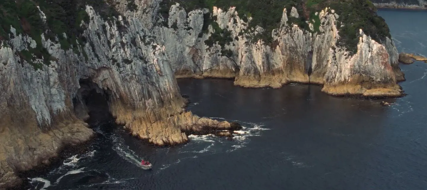 An aerial image of a boat in the water at the bottom of steeply rising sea cliffs, dotted at the top with dense dark green forest.