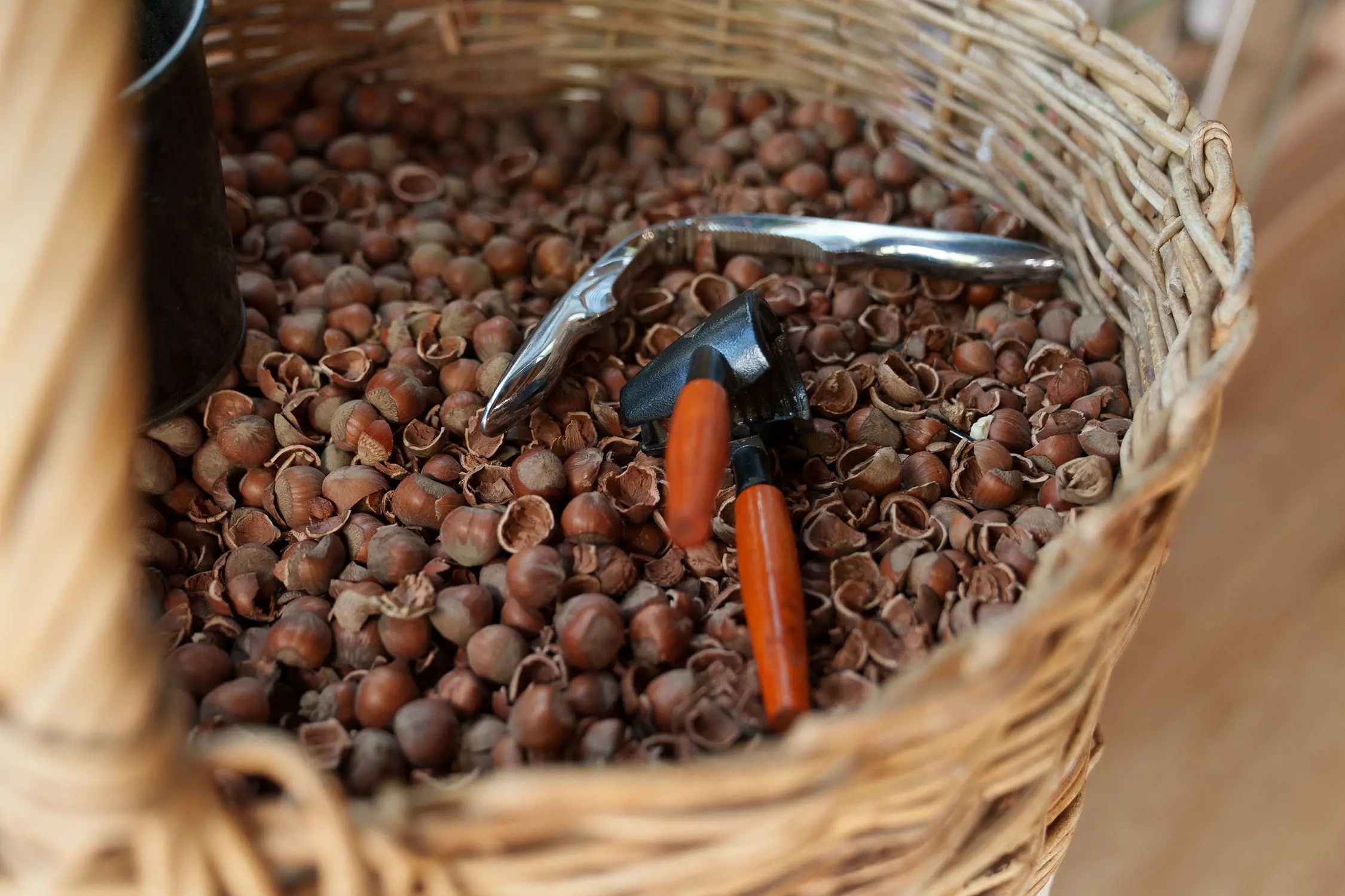 Looking into a wicker basket, filled with hazelnuts. On top lie some metal nutcracking tools.
