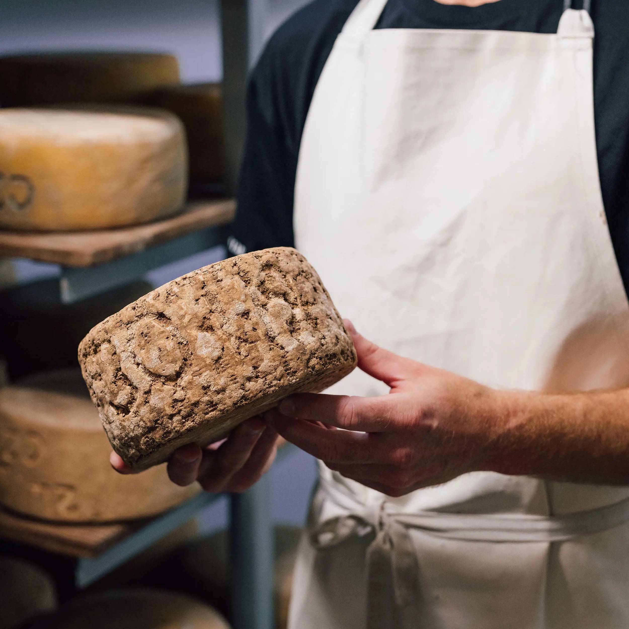 A person in a white apron holds up a large, whole wheel of cheese with an aged-looking, pockmarked rind. On the shelves in the background are more wheels of cheese.