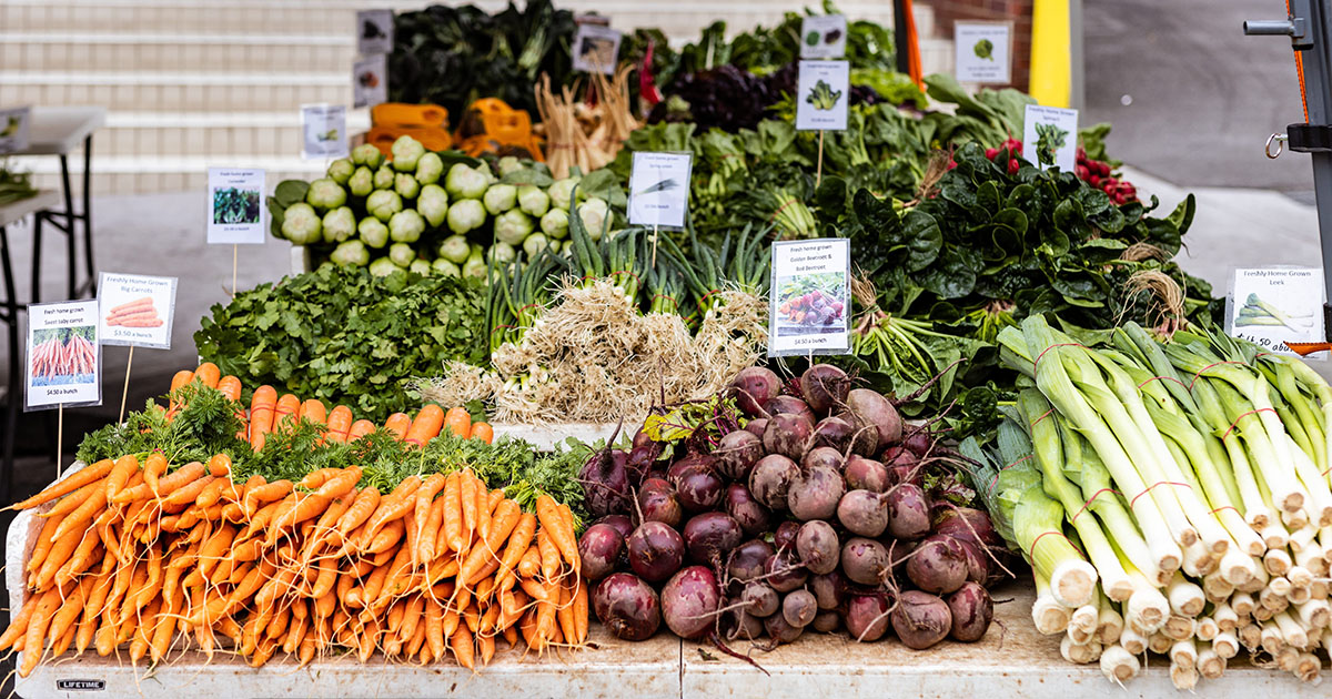 A vegan and vegetarian guide to Tasmania