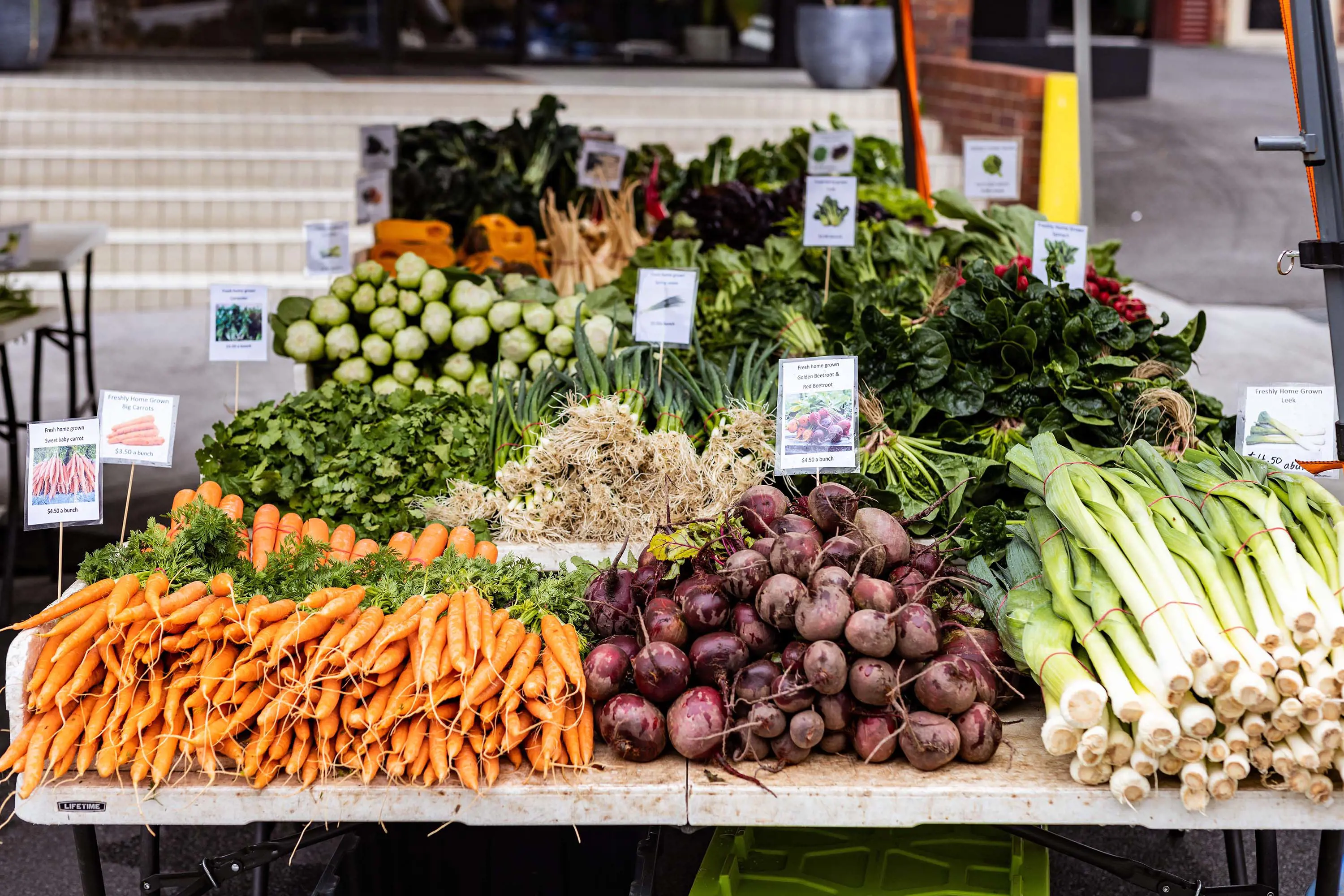 Rows of plastic trestle tables are fully laden with stacks of fresh vegetables for sale, including carrots, beetroot, leeks, turnips, spring onions, leafy greens and more. Each pile has its own price sign sticking out of it.