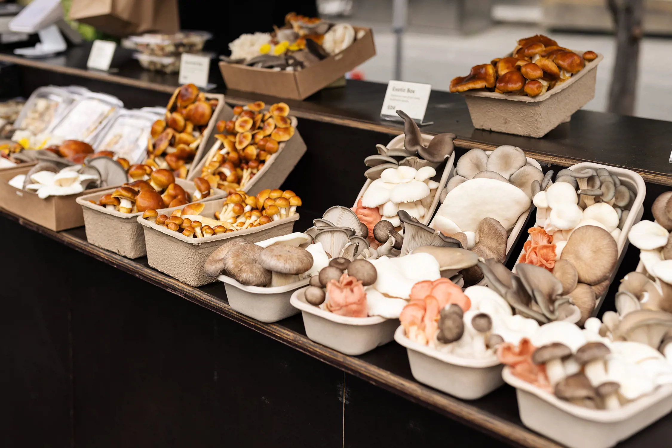 Rows of mixed containers of mushrooms sit on a wooden display table at a market.