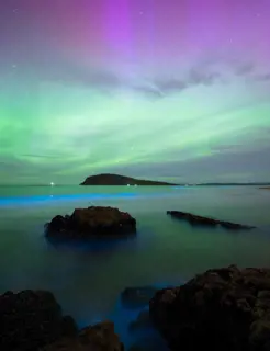 How to see the Southern Lights