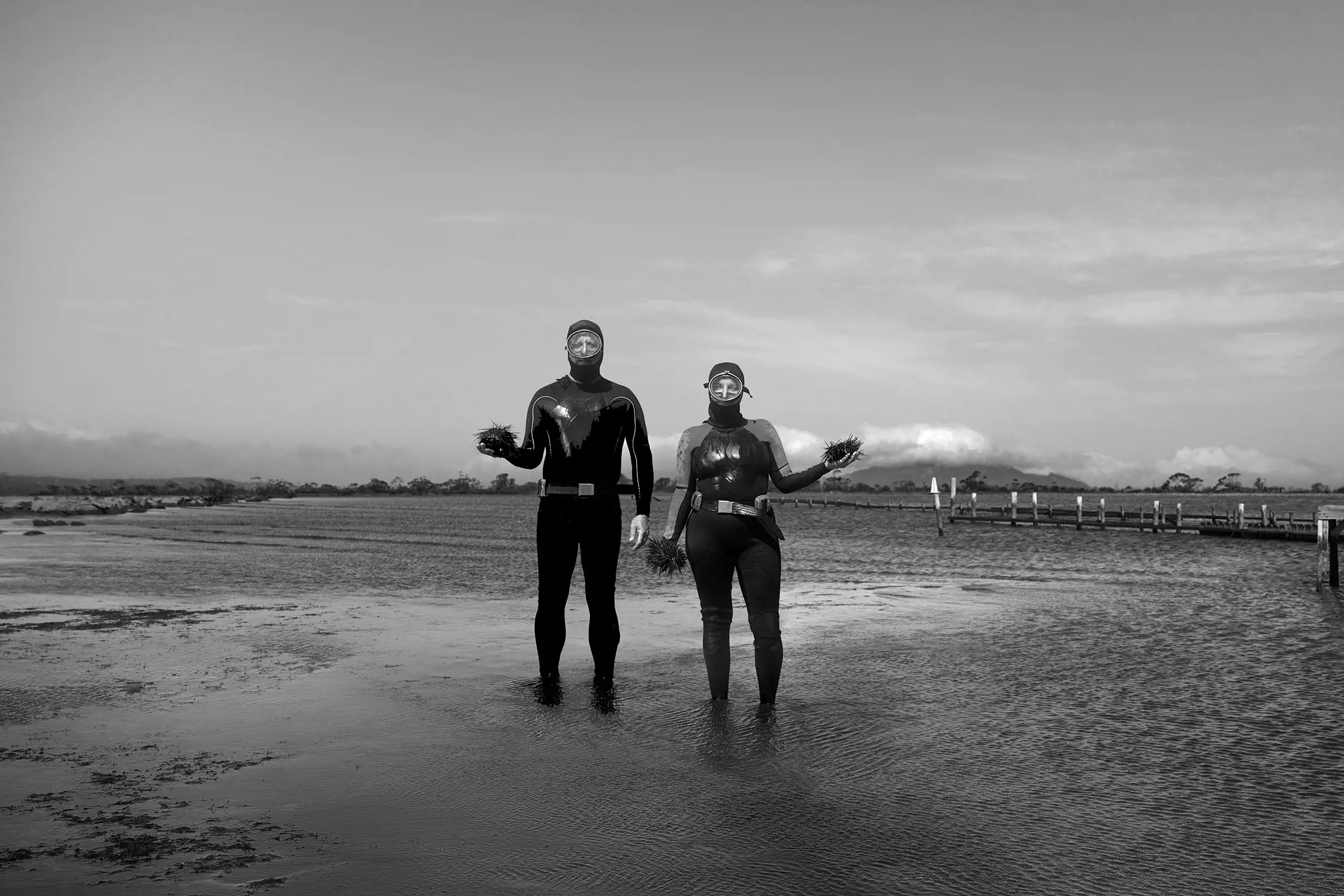 Two people in full scuba diving gear stand in ankle-deep ocean water, holding handfuls of spiky sea urchins.