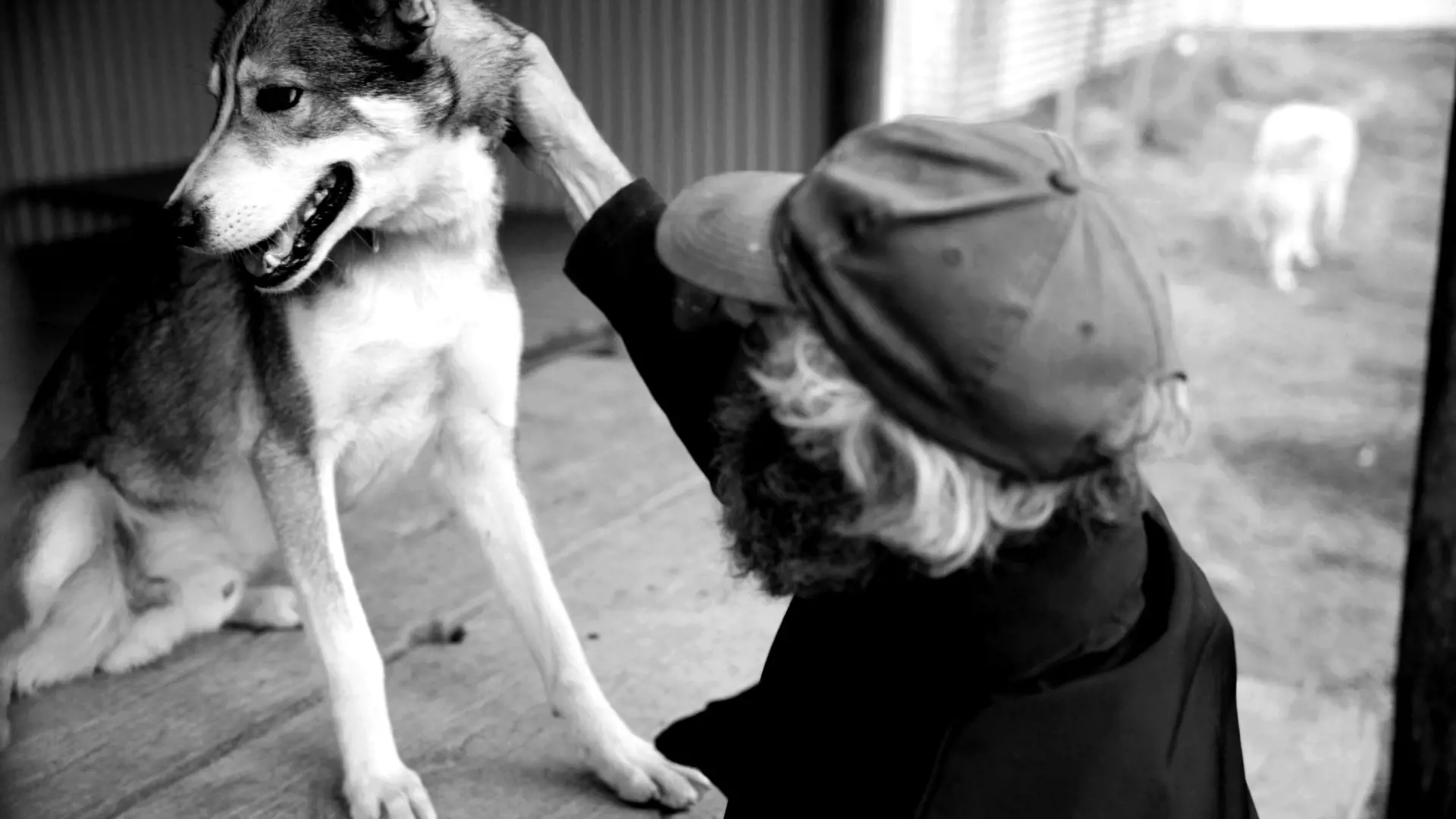 A man wearing a cap with a bushy beard crouches to pat a husky sitting on a wood platform.