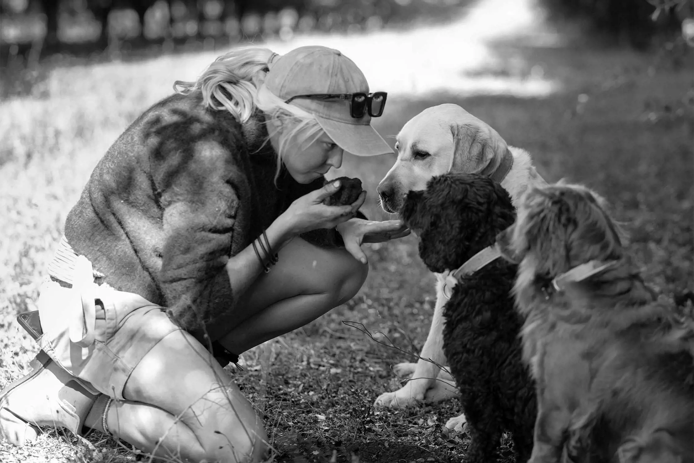 In this black and white image, a woman is kneeling down and engaging with three dogs. She is holding a truffle in one hand, leaning forward to offer it to a yellow lab, while the other two dogs, one brown and one golden, look on expectantly.