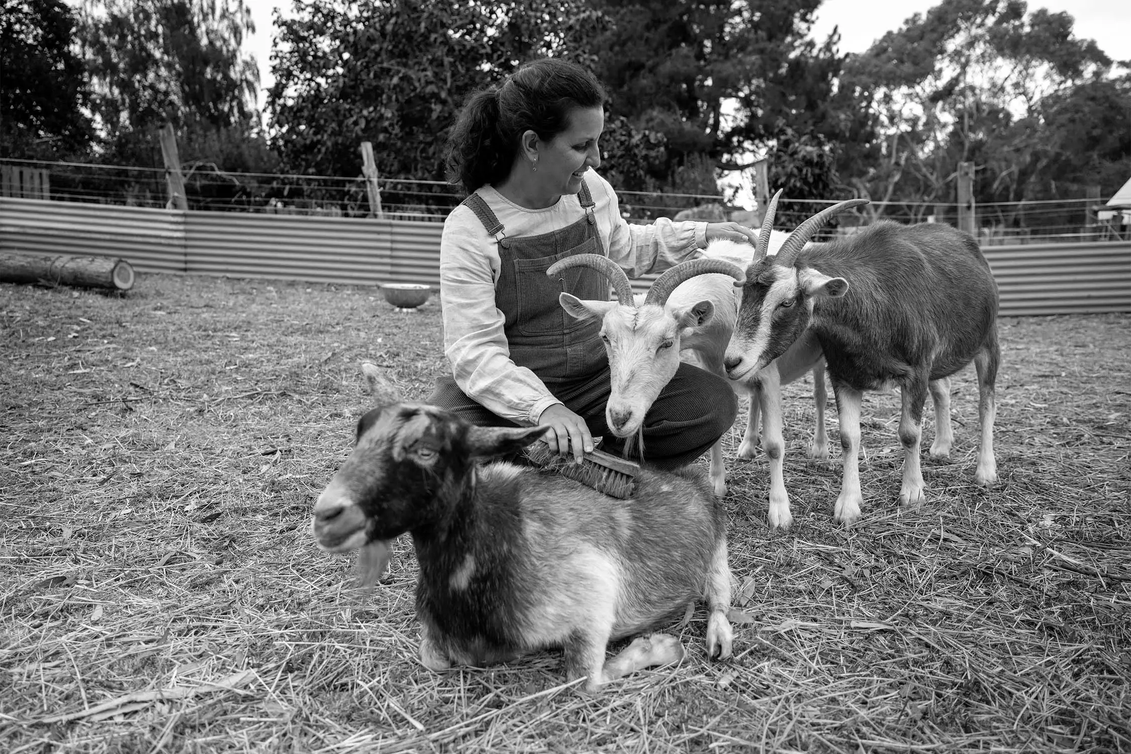 A woman sitting on the ground with several goats around her, gently brushing one of the goats. The scene is warm and friendly, captured in black and white.