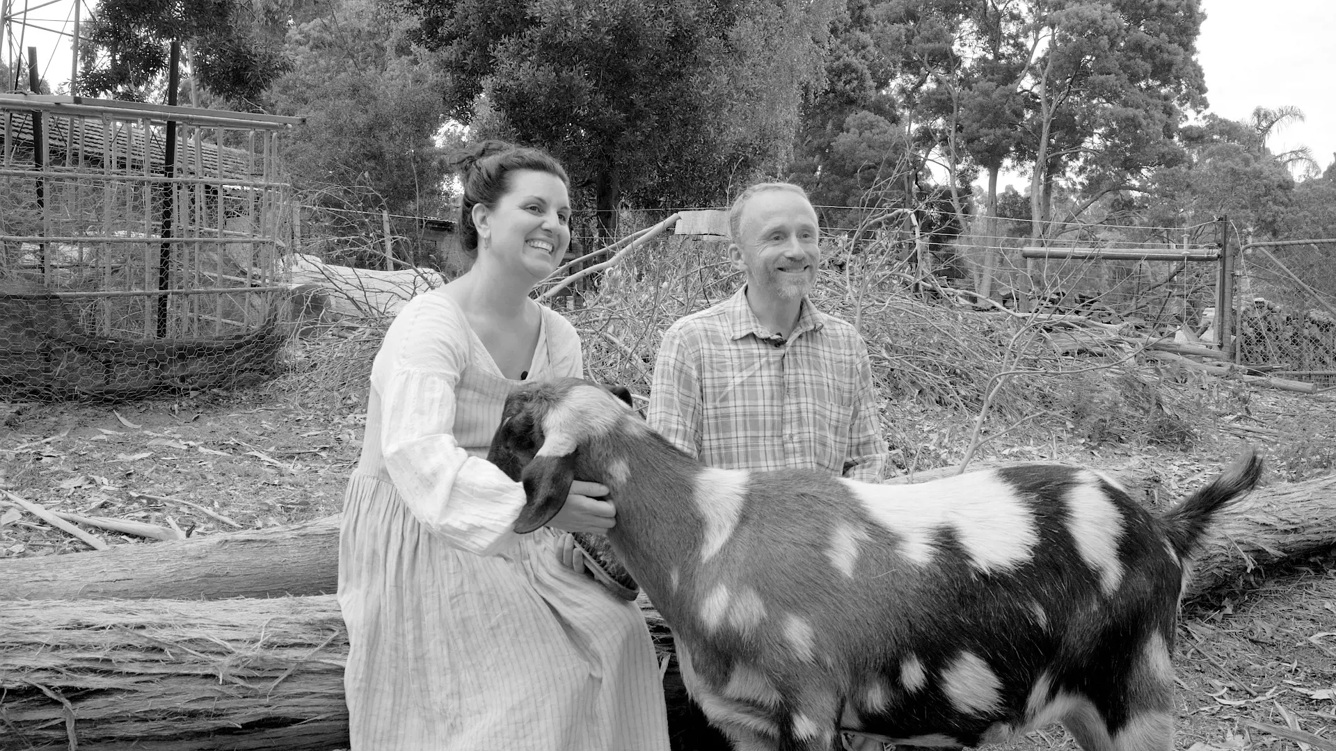 Two people sit on a log amongst a farm, smiling into the distance and patting a fluffy spotted goat that's nosing into them for a snuggle.