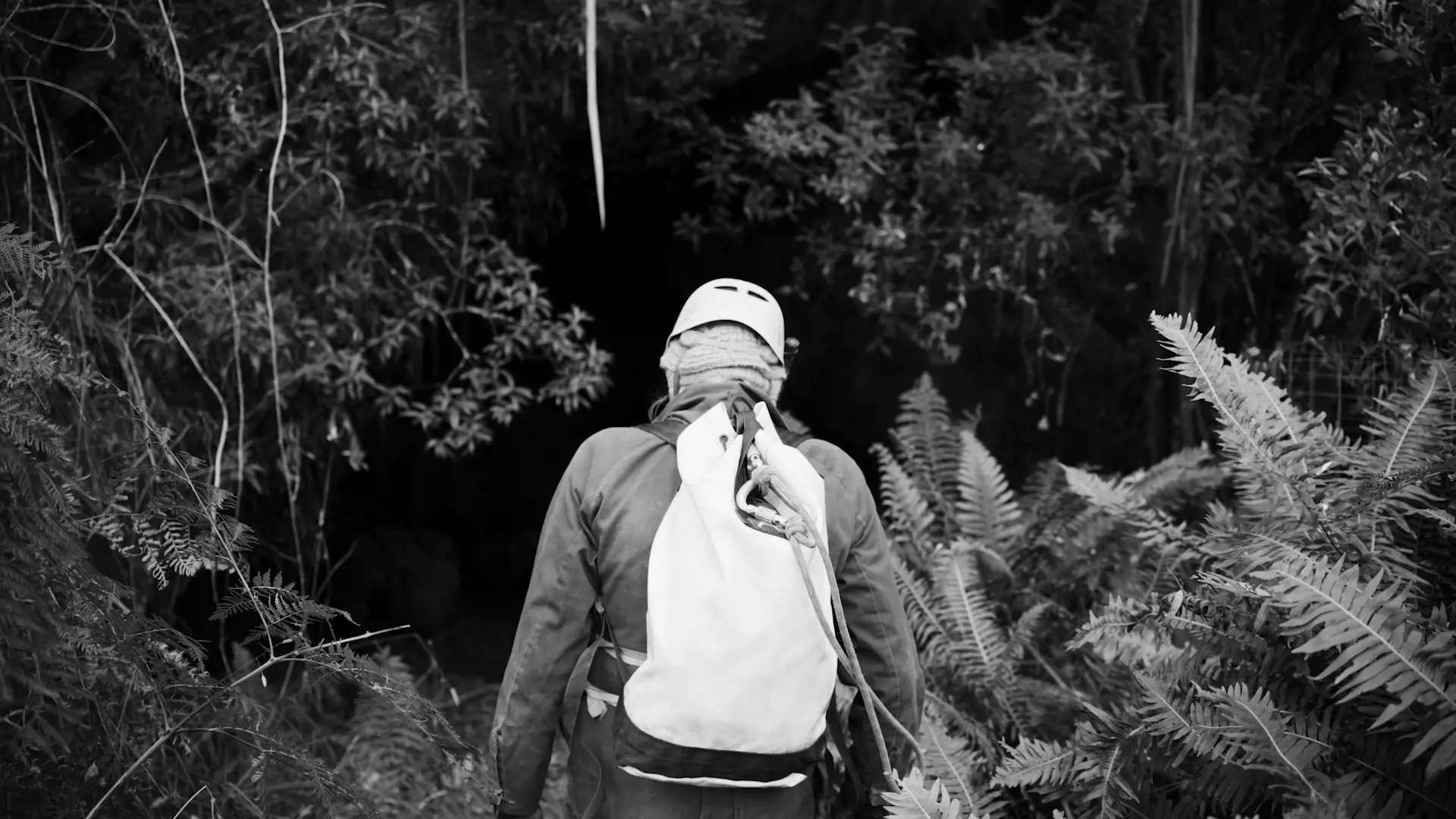 A woman walks through thick ferns towards the dark mouth of a cave in a forest.