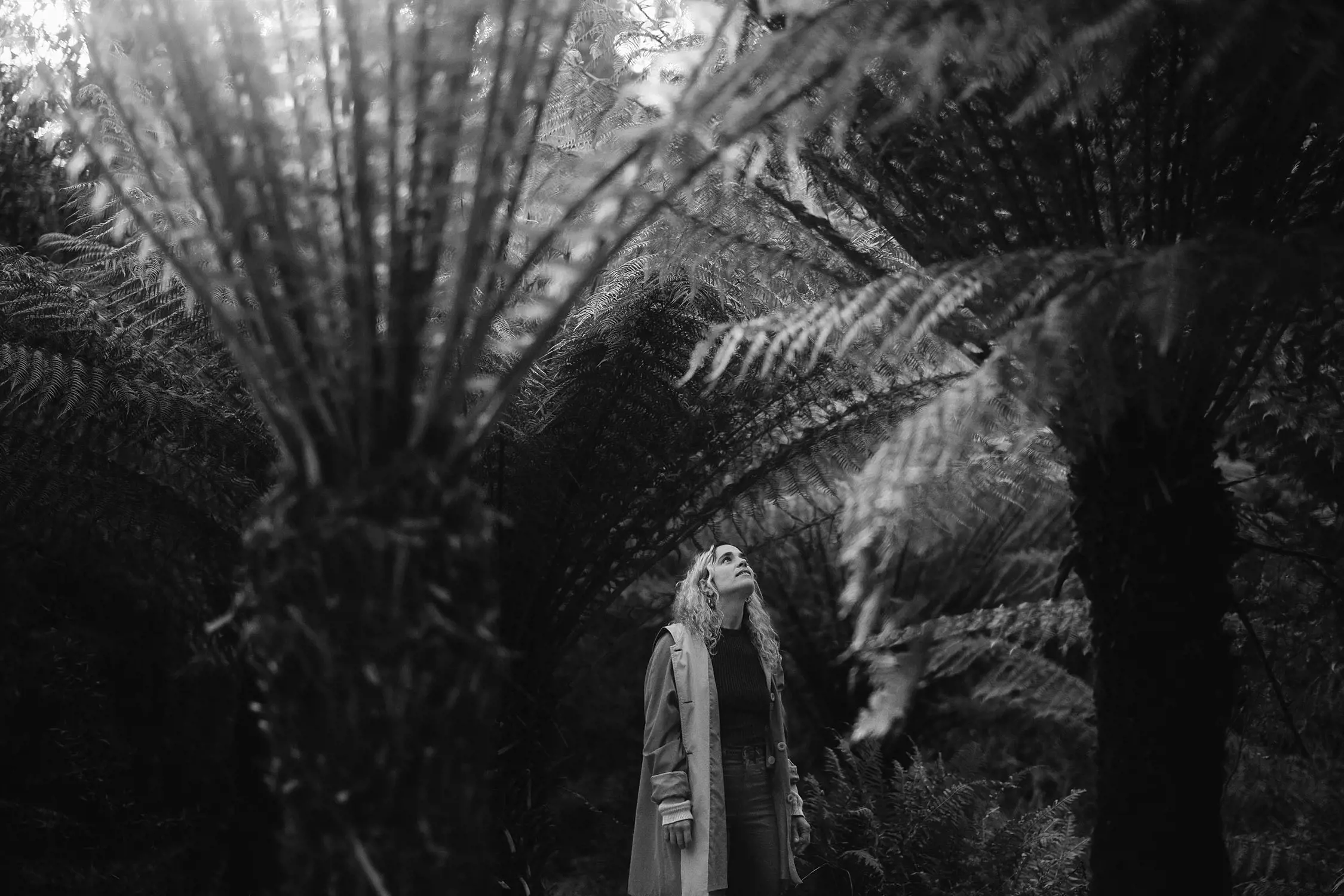A person wearing a coat and scarf stands in a forest, looking up at the large fern trees surrounding them. The image is in black and white.