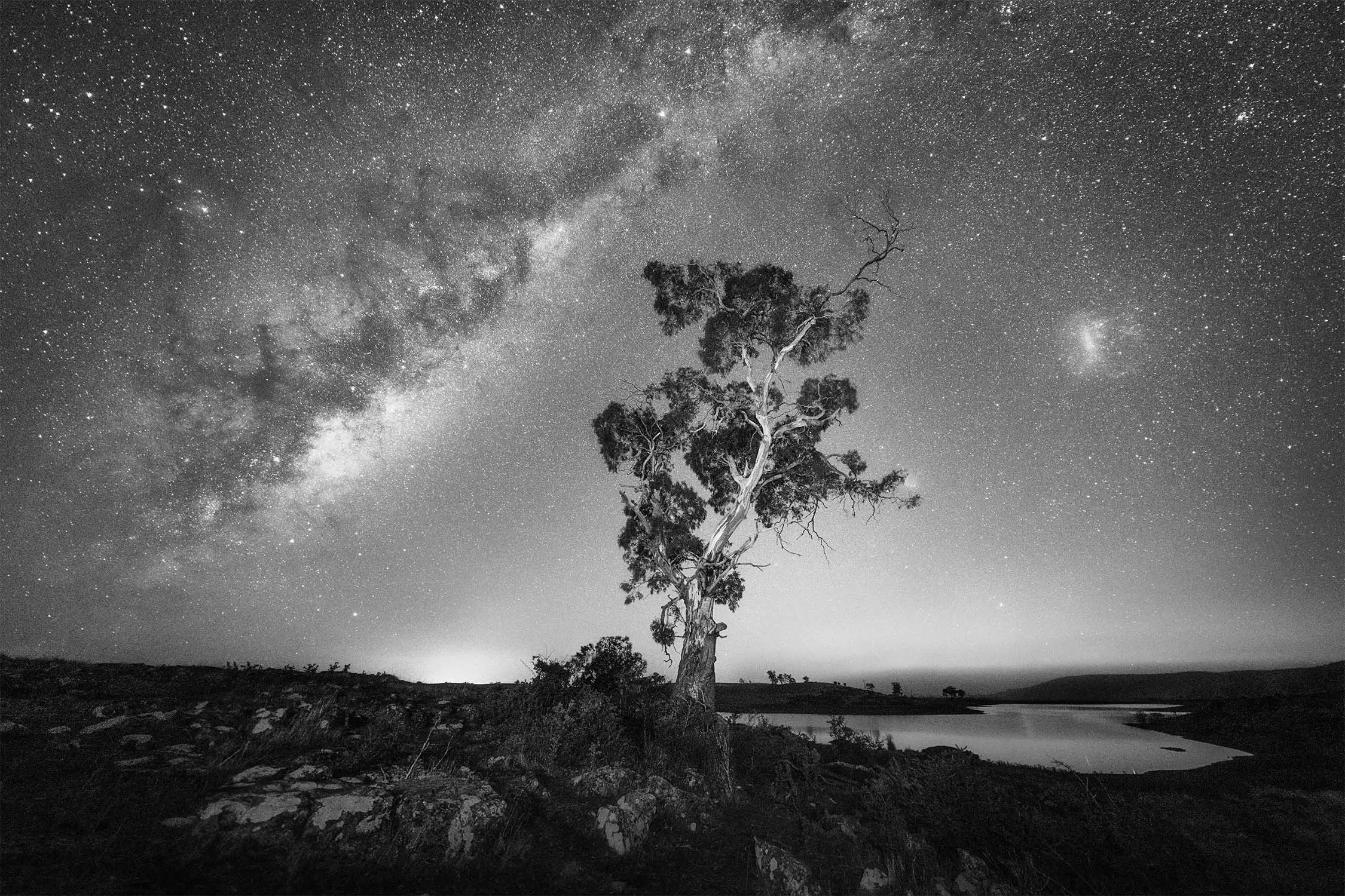 A silhouette of a tree stands against a starry night sky reflecting in a nearby lake.