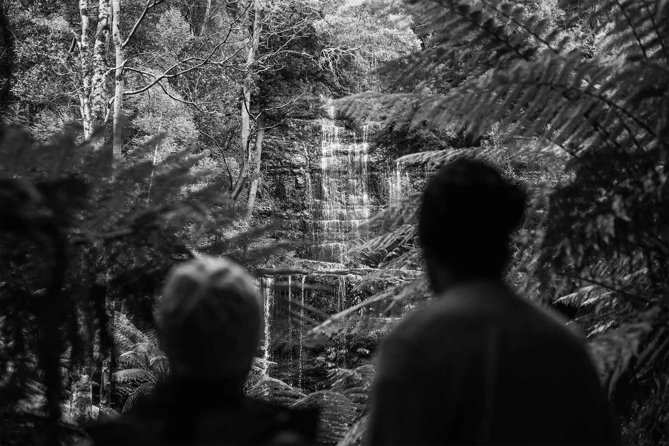 Two people gaze at a picturesque waterfall surrounded by lush greenery in a forest.