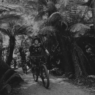 Wheels, wine and whisky