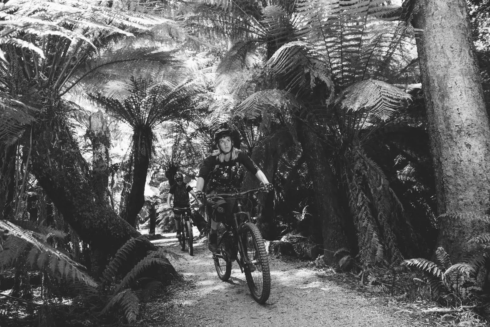People on mountain bikes wearing protective gear ride a dirt path through a dense forest, surrounded by towering leafy ferns.