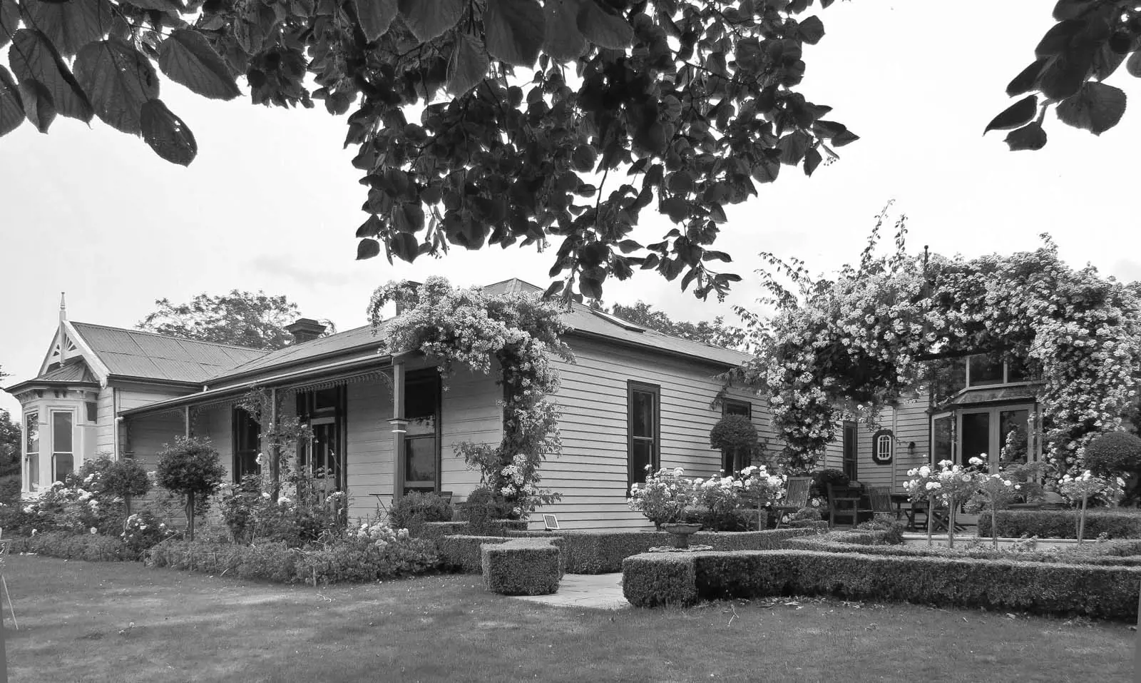 A beautiful heritage cottage with manicured gardens and climbing roses, framed by the overhanging branches of a tree.