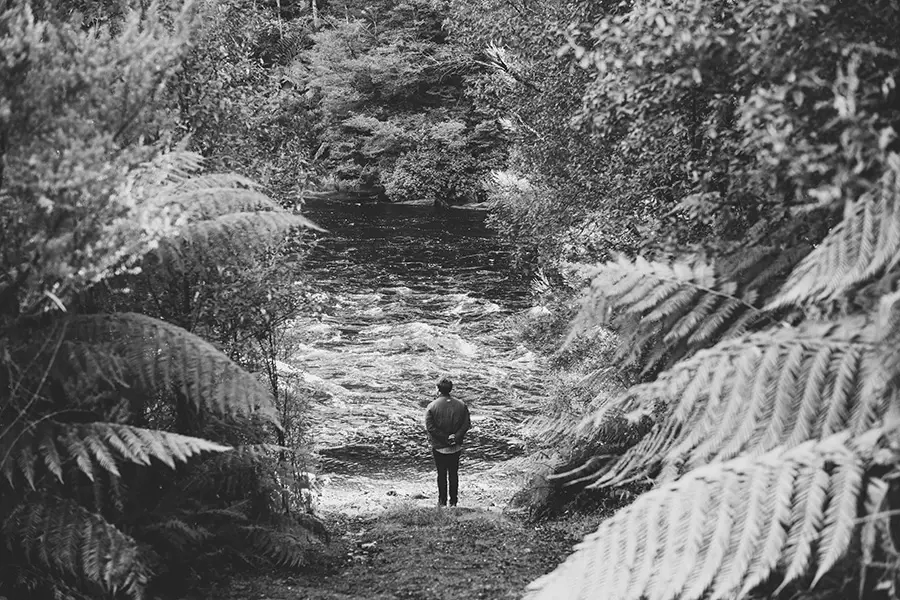 The Franklin River meanders through thick rainforest, its clear waters and moss-covered banks lush under the soft winter rain. A person stands on the riverbank, looking out.