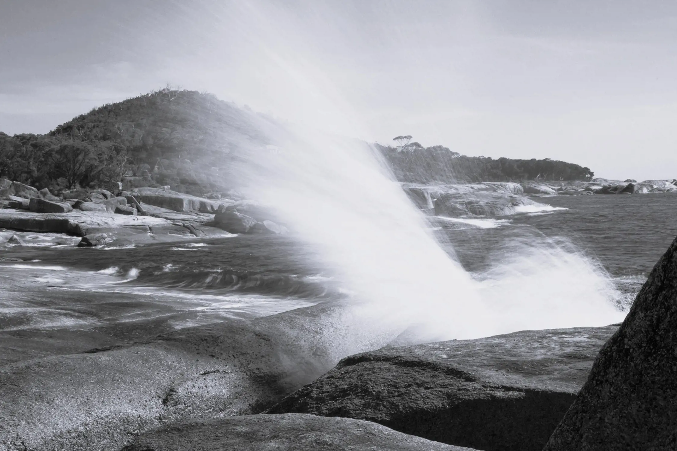 Black and white photo of waves crashing against rocks on the shore with trees and hills in the background. Water splashes dramatically onto the rocks.