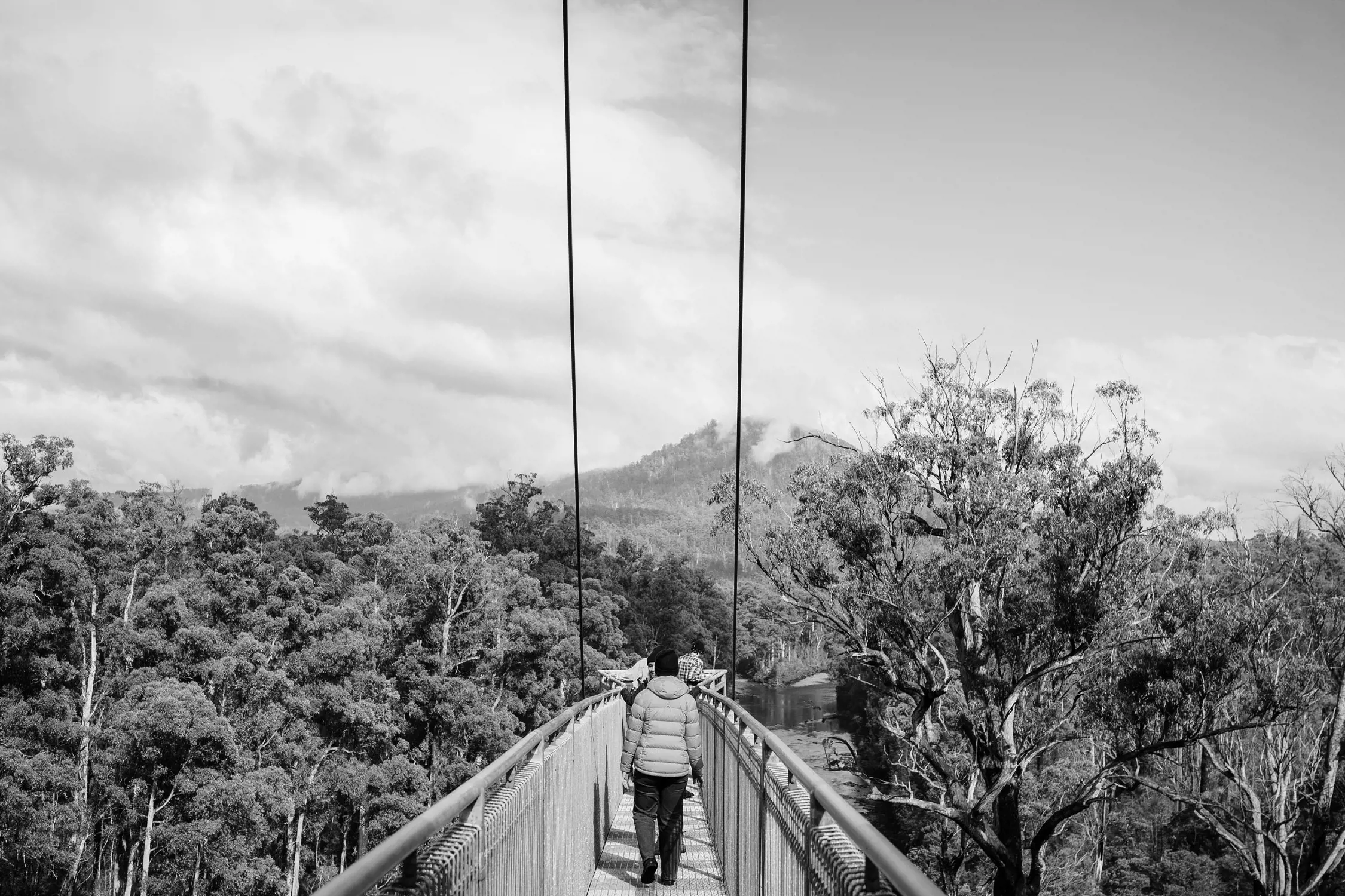 Person walking on a high suspension bridge over a river surrounded by dense forest and distant mountains under a cloudy sky.