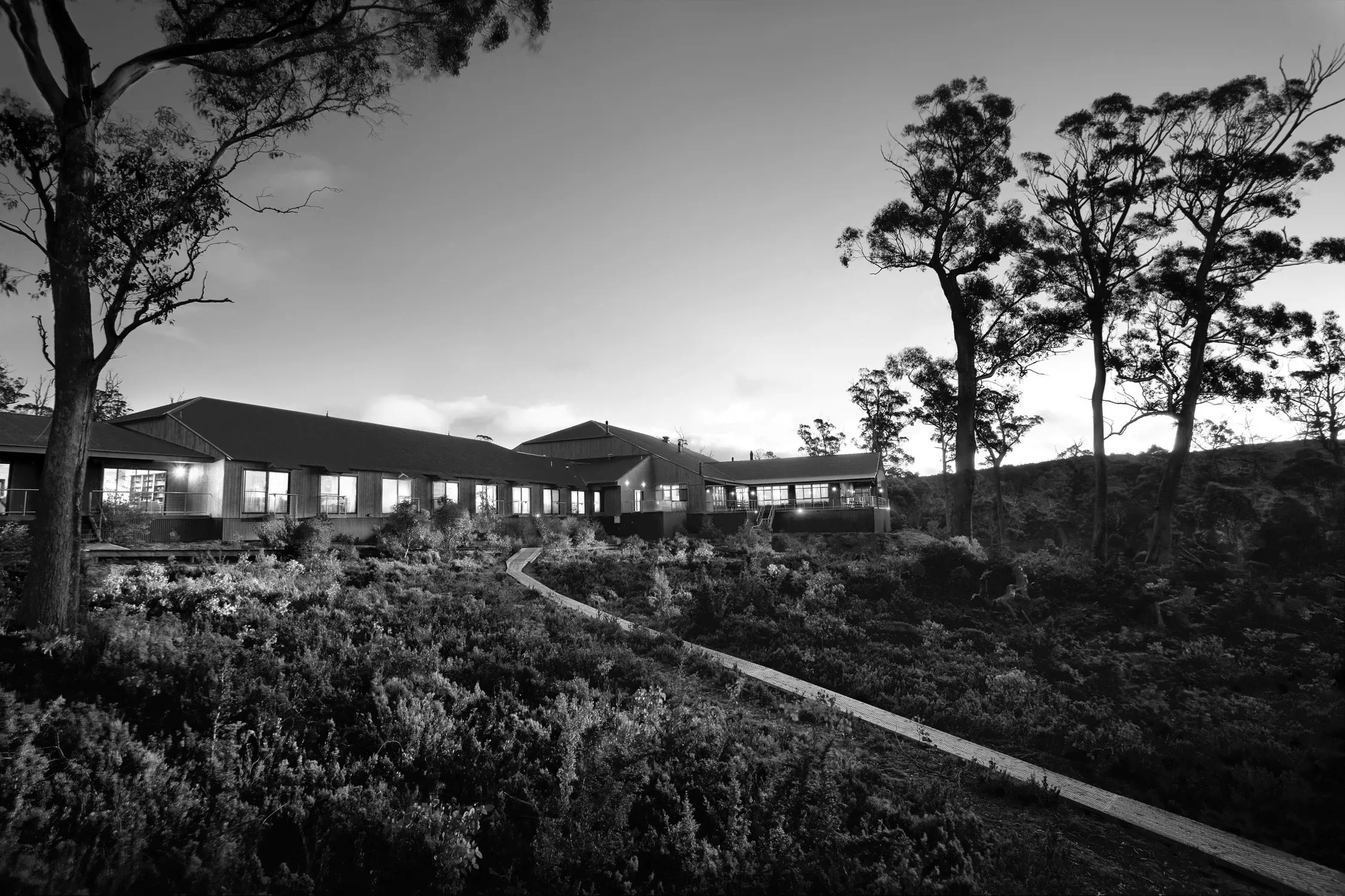 Exterior view of a large, single-story building with many windows lit from inside, surrounded by dense shrubbery and tall trees, under a clear sky in a natural setting.
