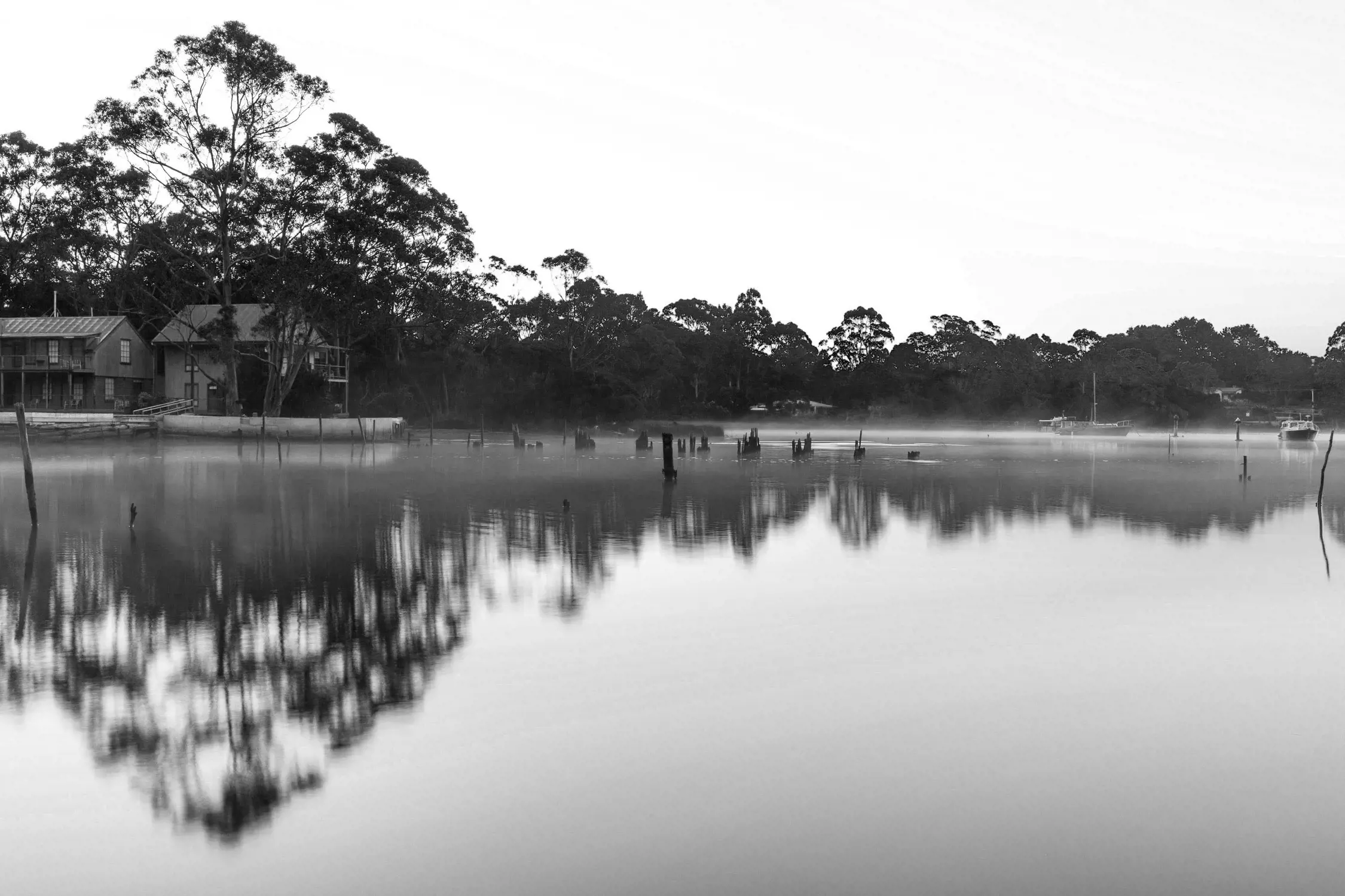 Black and white photo of a calm river with mist hovering over the water, wooden posts sticking out, trees and houses in the background, and their reflections clearly visible on the smooth water surface.