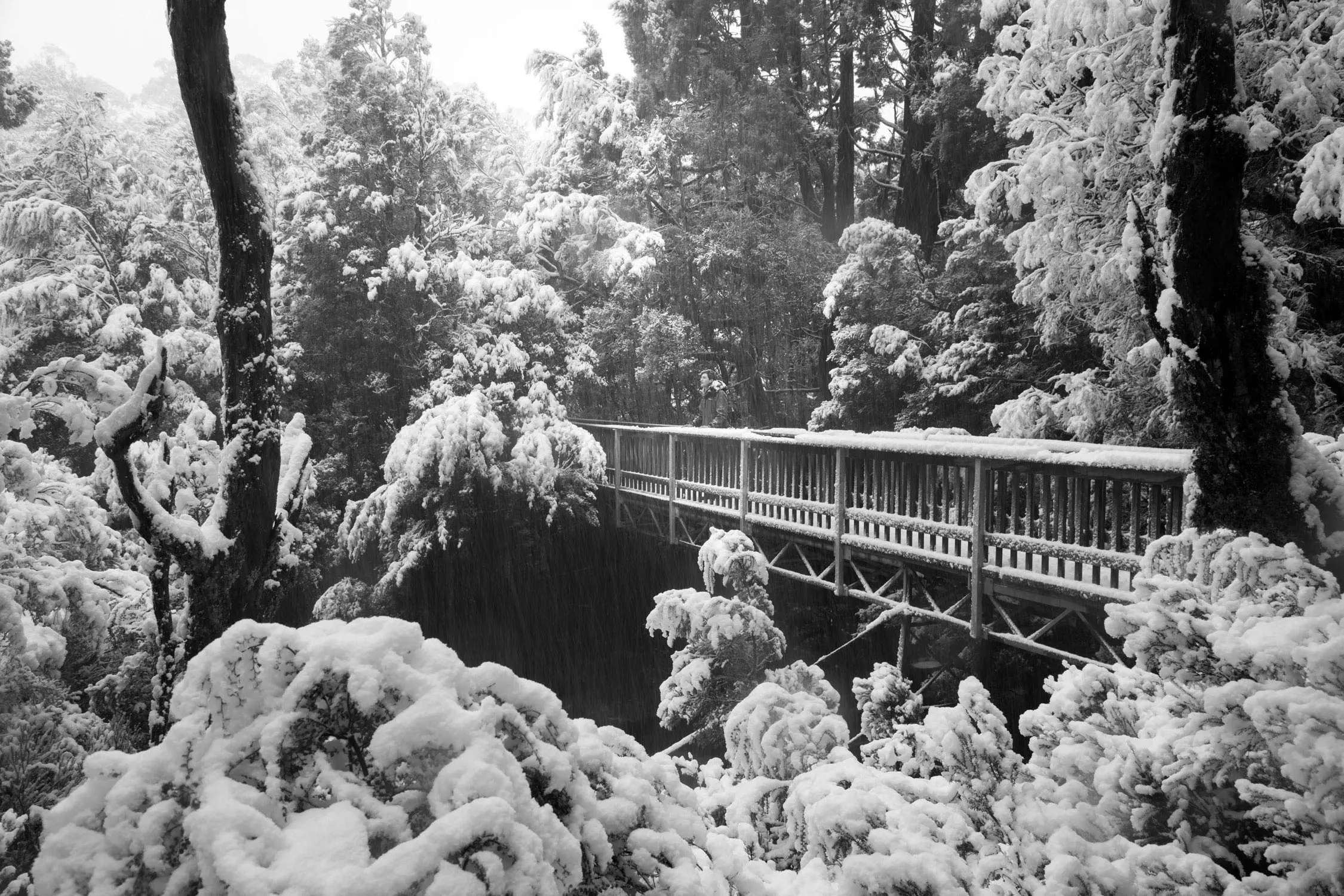 A person standing on a snow-covered wooden bridge surrounded by snow-laden trees in a forest.