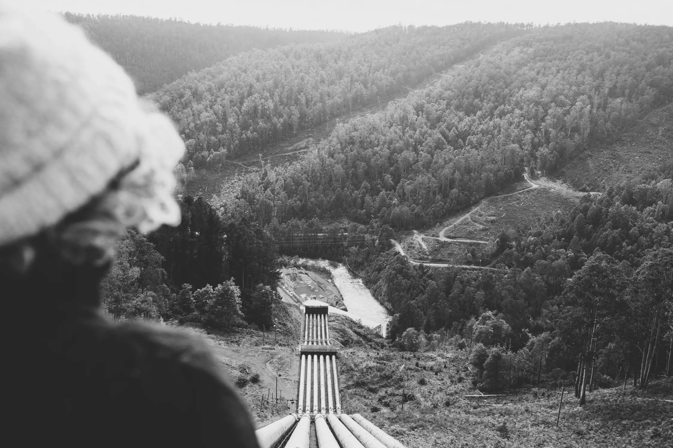 A person wearing a hat overlooking a valley with dense trees and large pipes running down a hill.