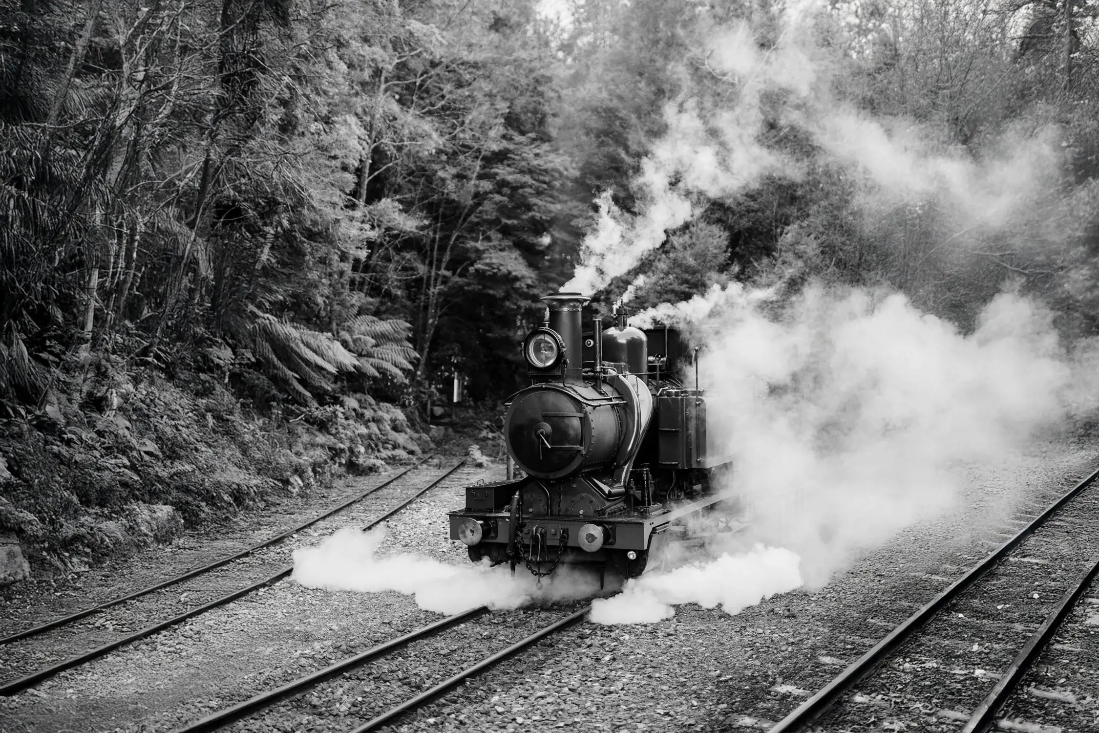 A vintage steam train emitting thick smoke, moving on railway tracks through a forest.