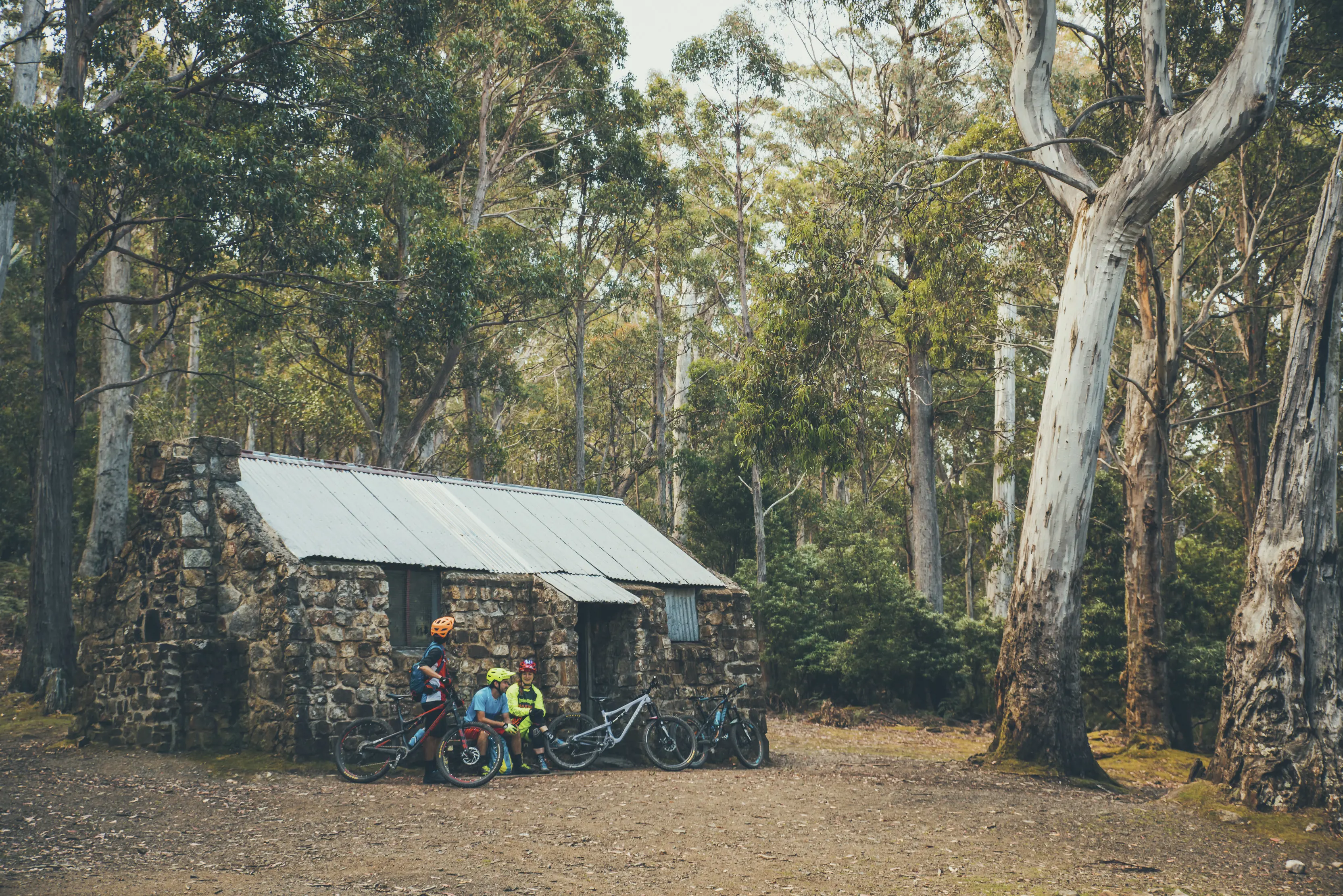 A couple of bike riders taking a break at the Junction Cabin, North South Track, Kunanyi / Mt Wellington. Surrounded by dense forest.