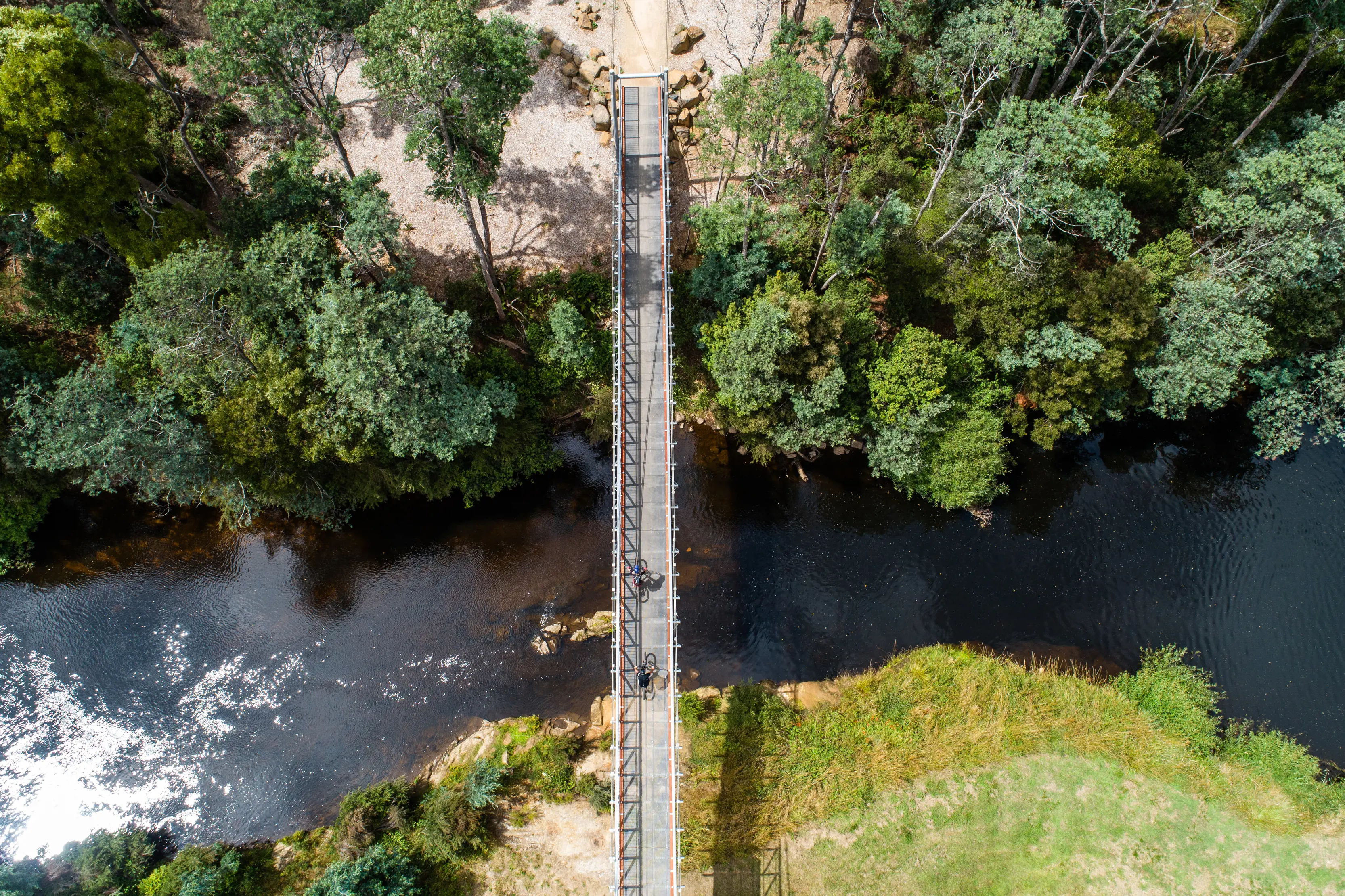 Overhead shot of cyclists crossing Suspension Bridge, Blue Derby Mountain Bike Trails.