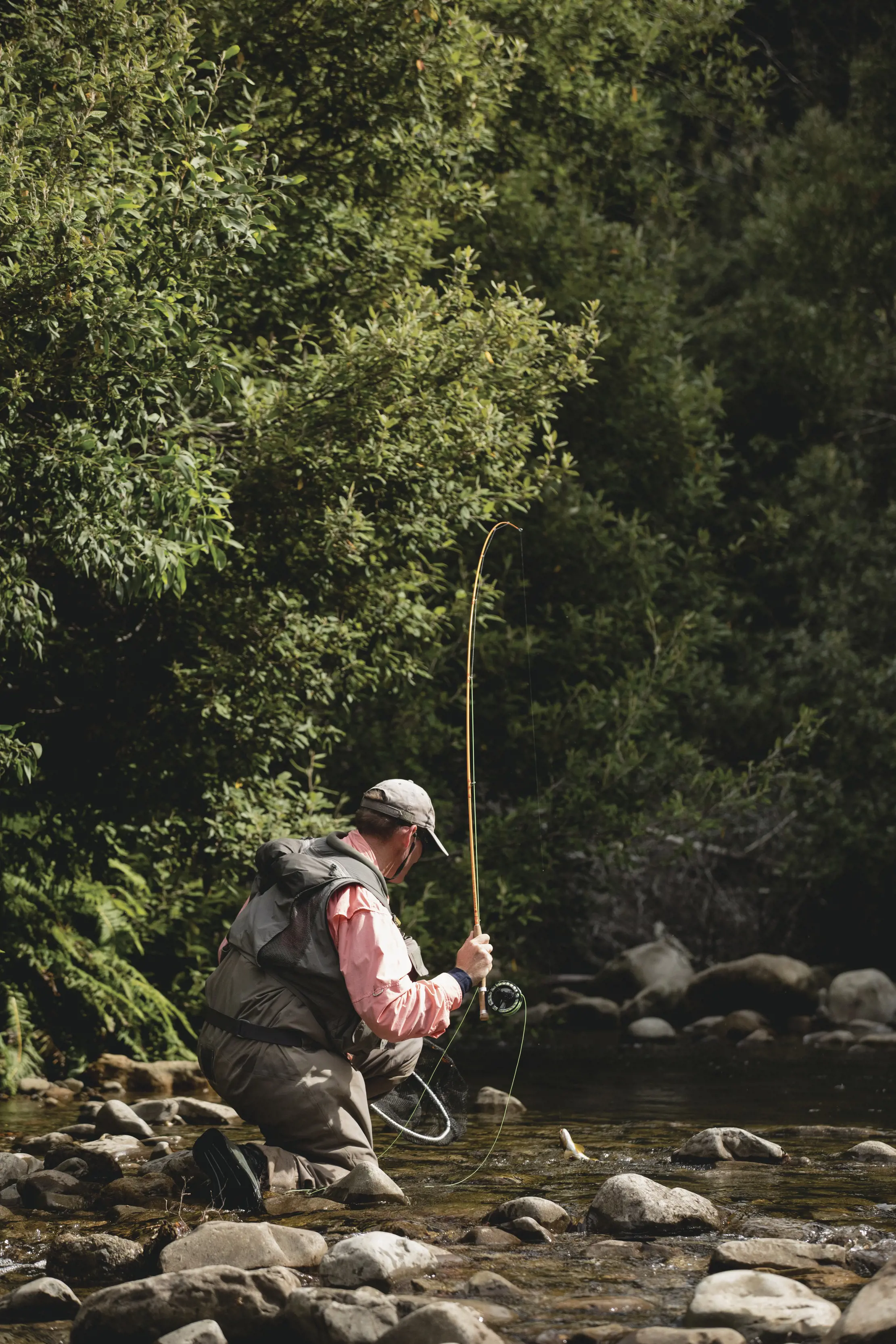 A person with a bright blue packpack and red beanie walks through the peaks of sunlight along the Liffey Falls Walk