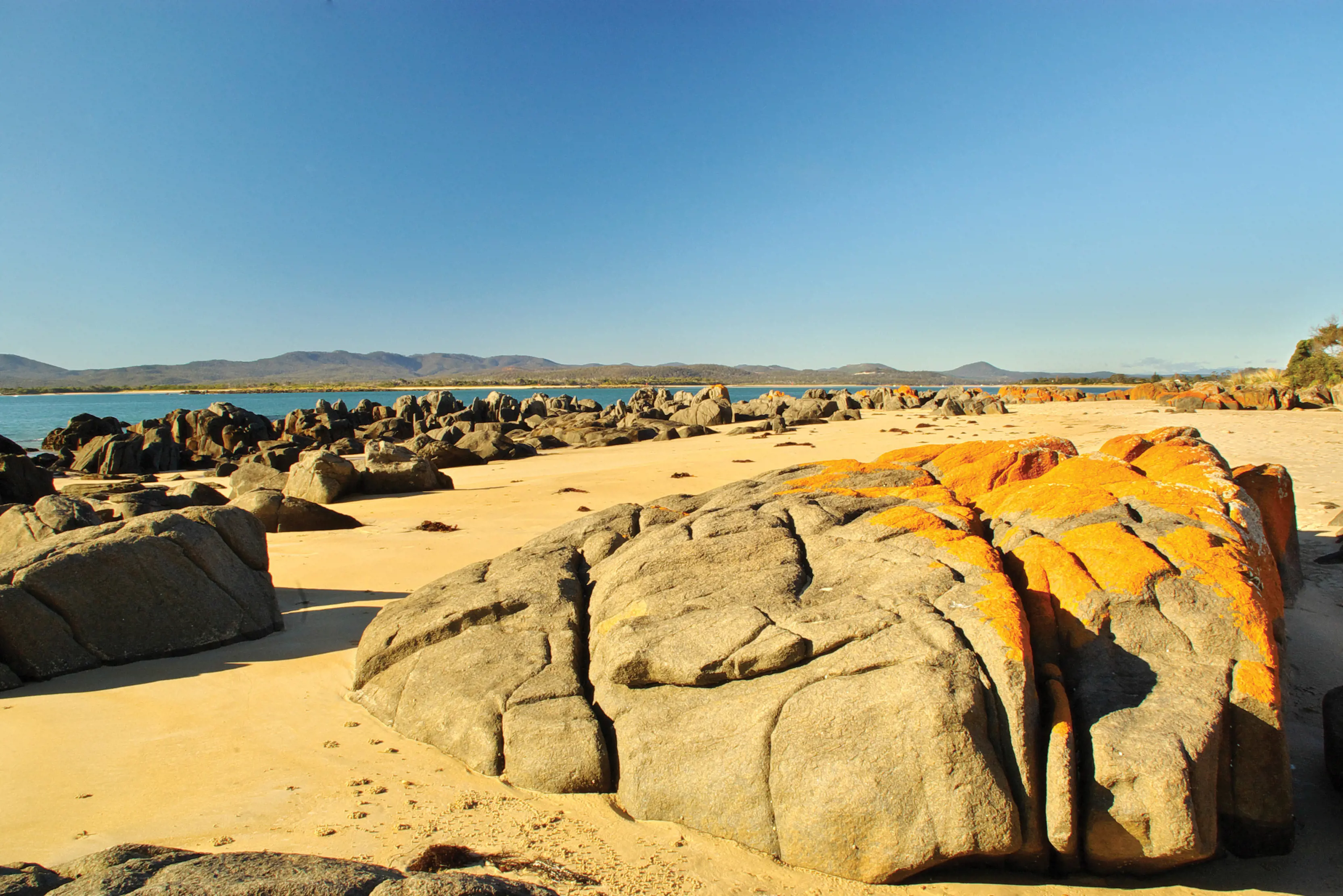 Sun-drenched, sandy brown rocks with orange moss highlights are scattered across a yellow sand beach.