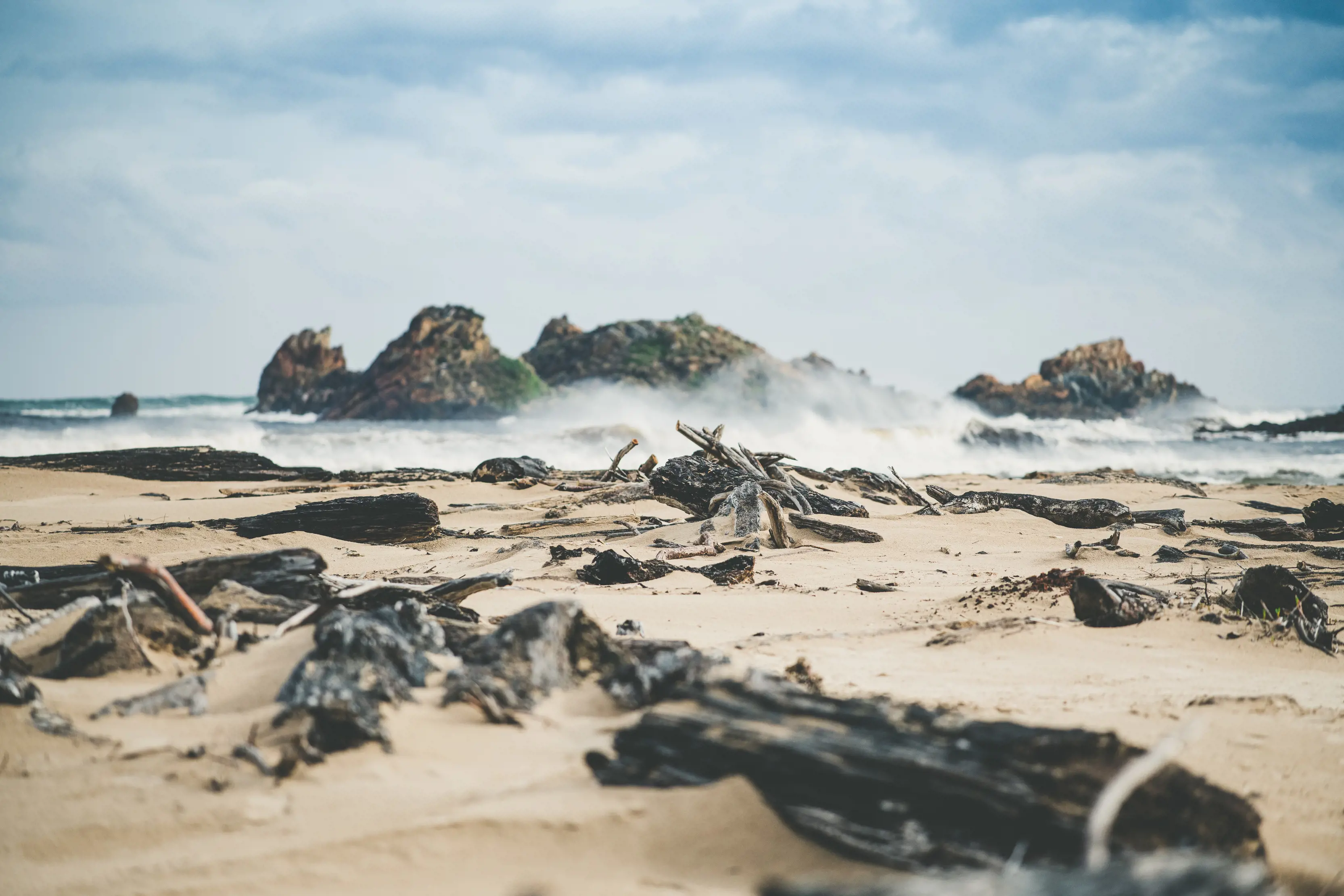 Burnt wood in the sand fills the foreground of the image with a breaking wave and rocks fill the background of the image. Located at Gardiner Point.