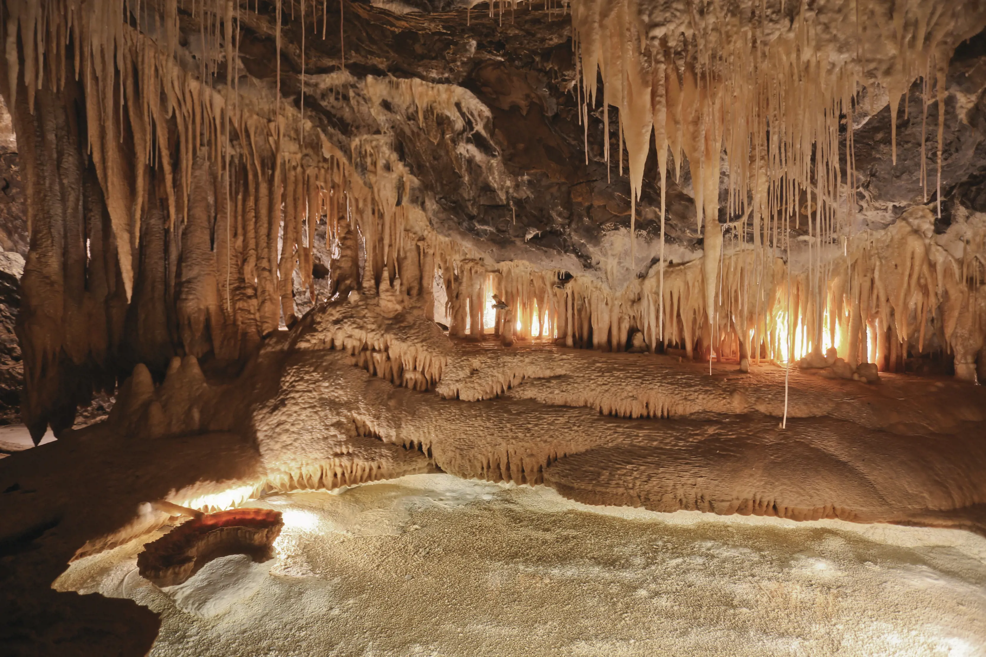 Clay-like shards hanging from the roof of the caves in Mole Creek Caves.